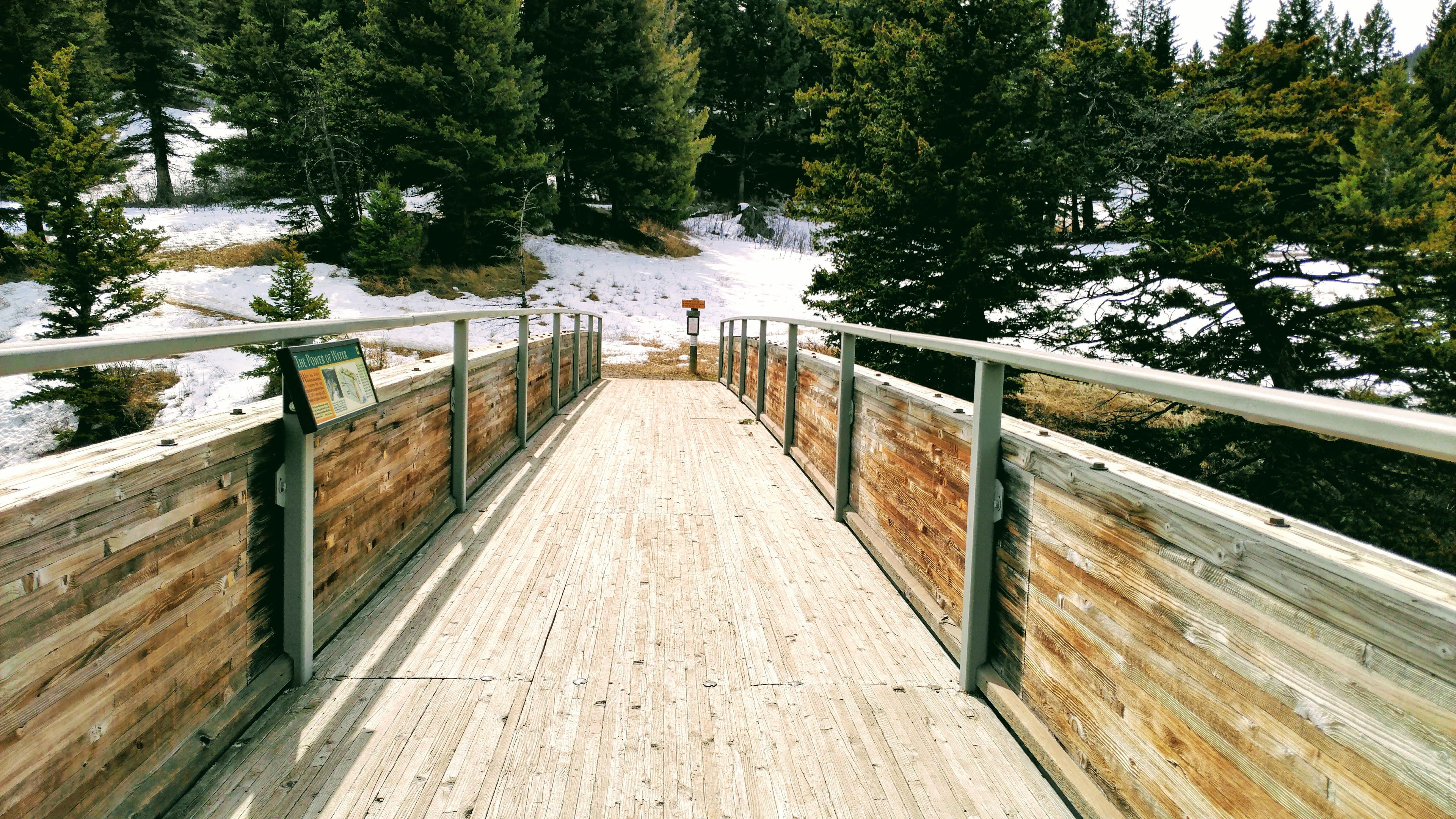 Bridge view. Photo by Kasie Haack.