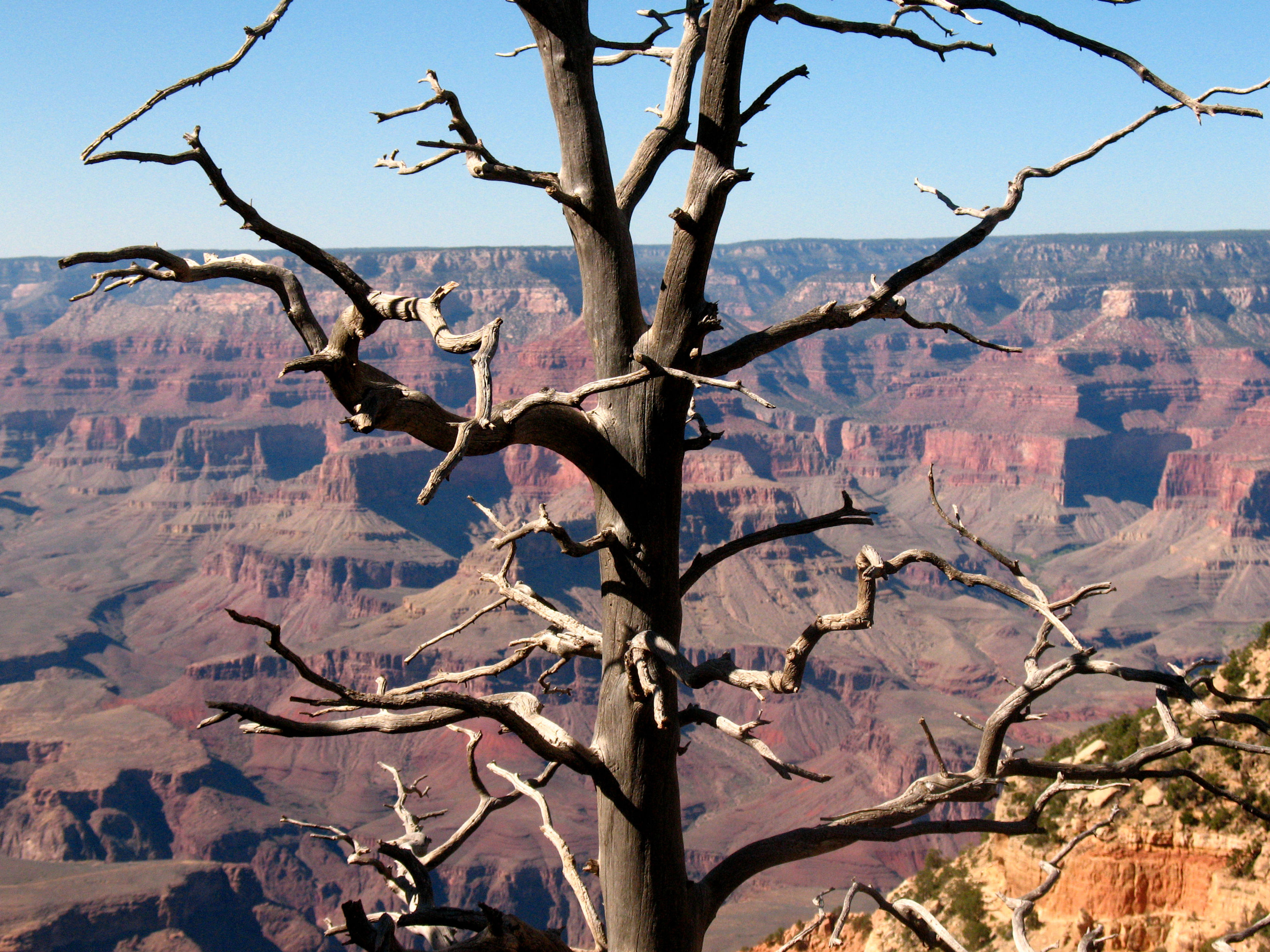 Arizona, south rim of the Grand Canyon inside Grand Canyon National Park. Photo by Fiana Shapiro.