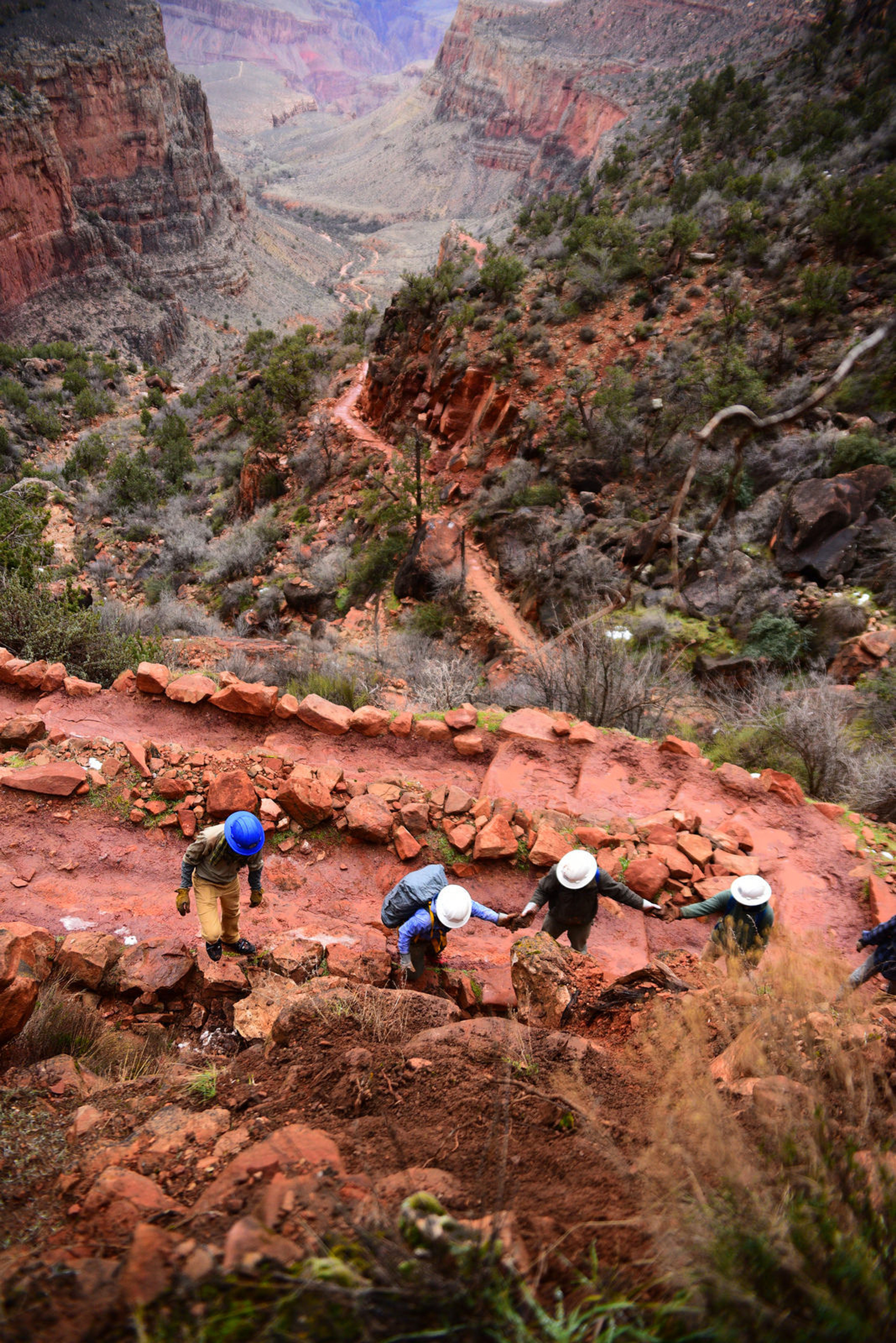 Crew members from the American Conservation Experience working on cyclical trail maintenance. Photo by Jessica Plance.