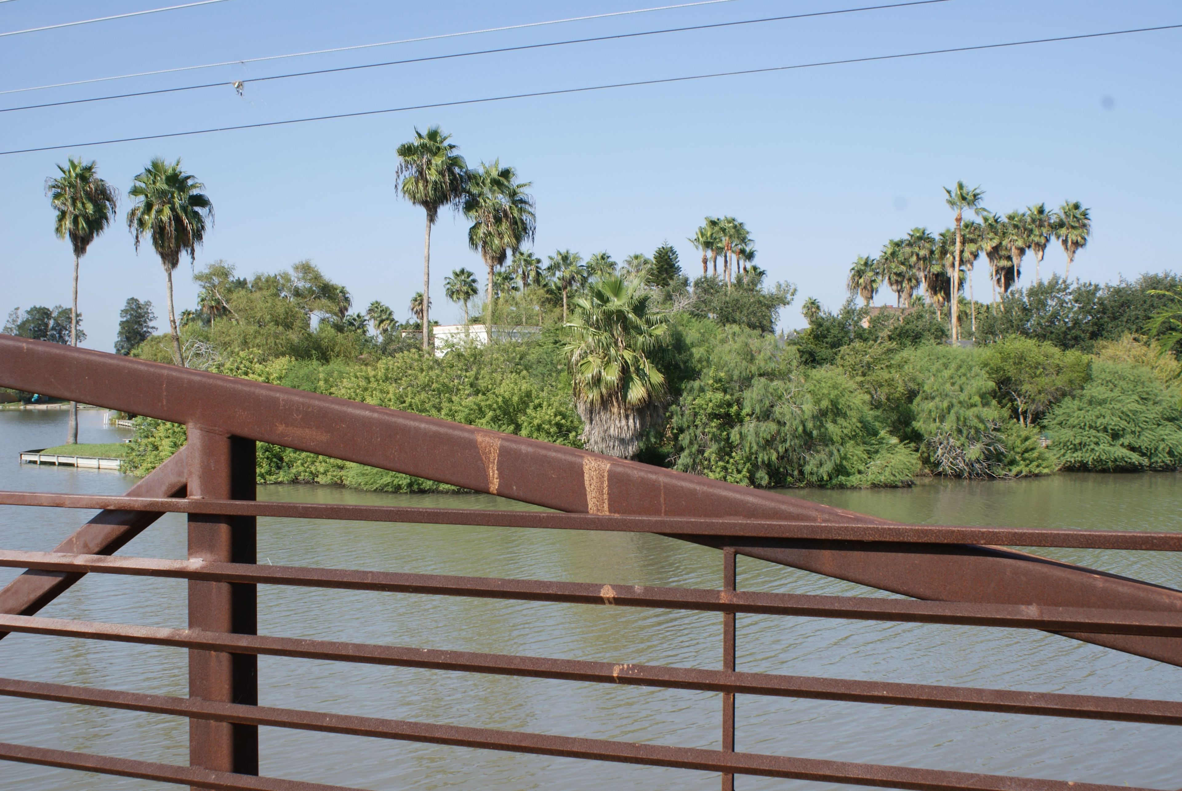 View of resaca and natural environment