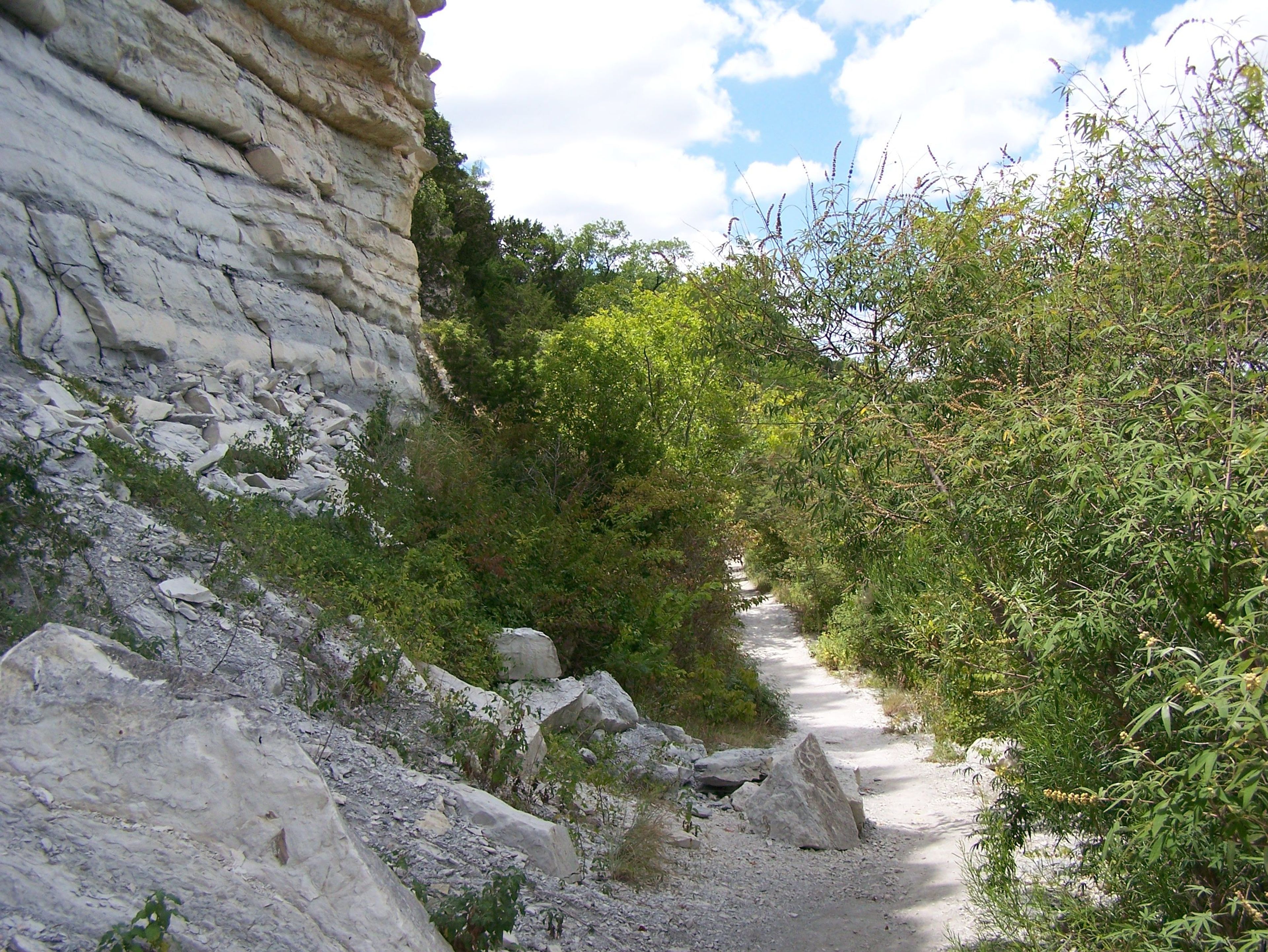 Limestone Cliffs.