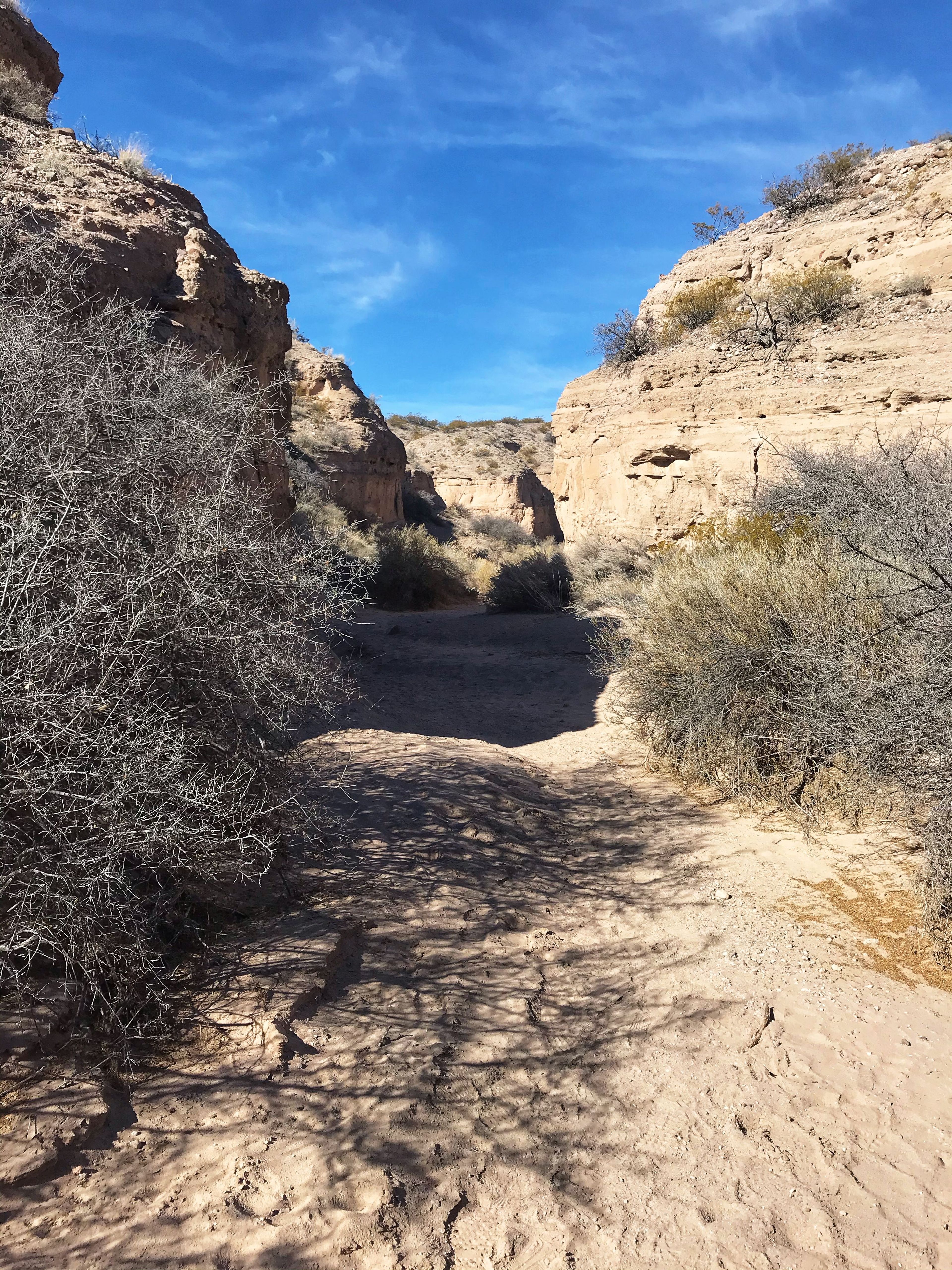 In the canyon. Photo by Pam Riches.