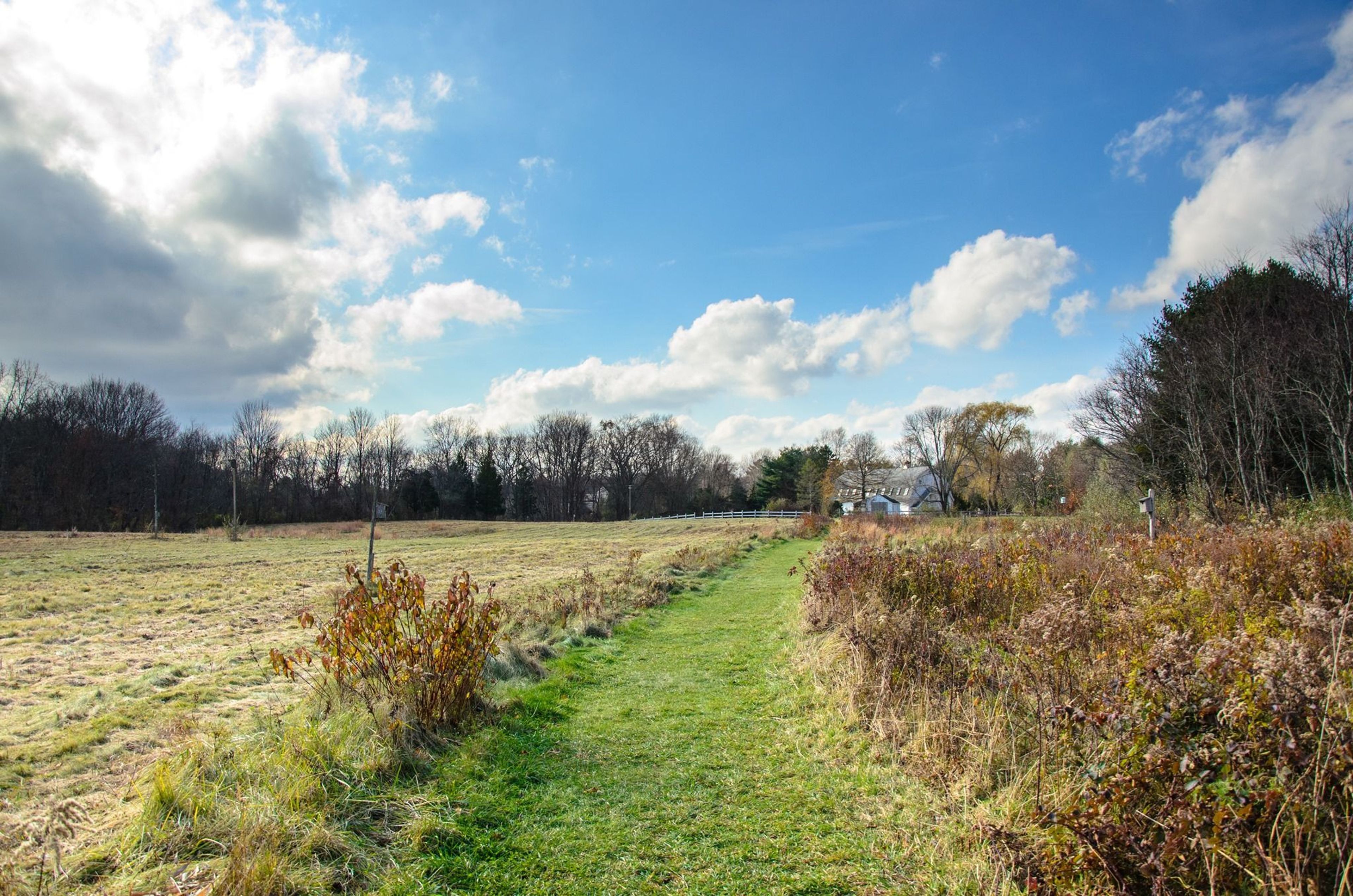 Photo by Audubon Society of RI.