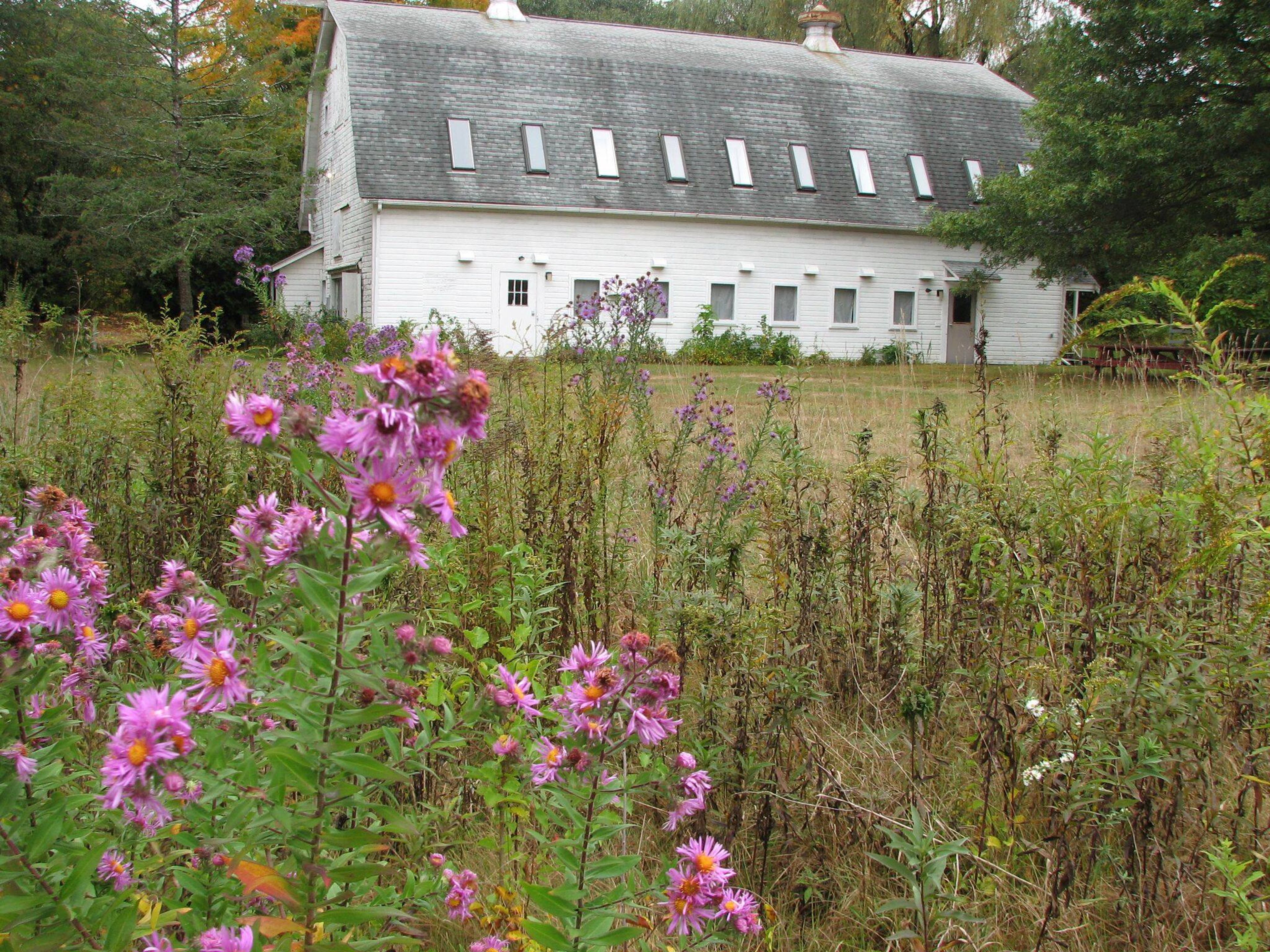 Photo by Audubon Society of RI.