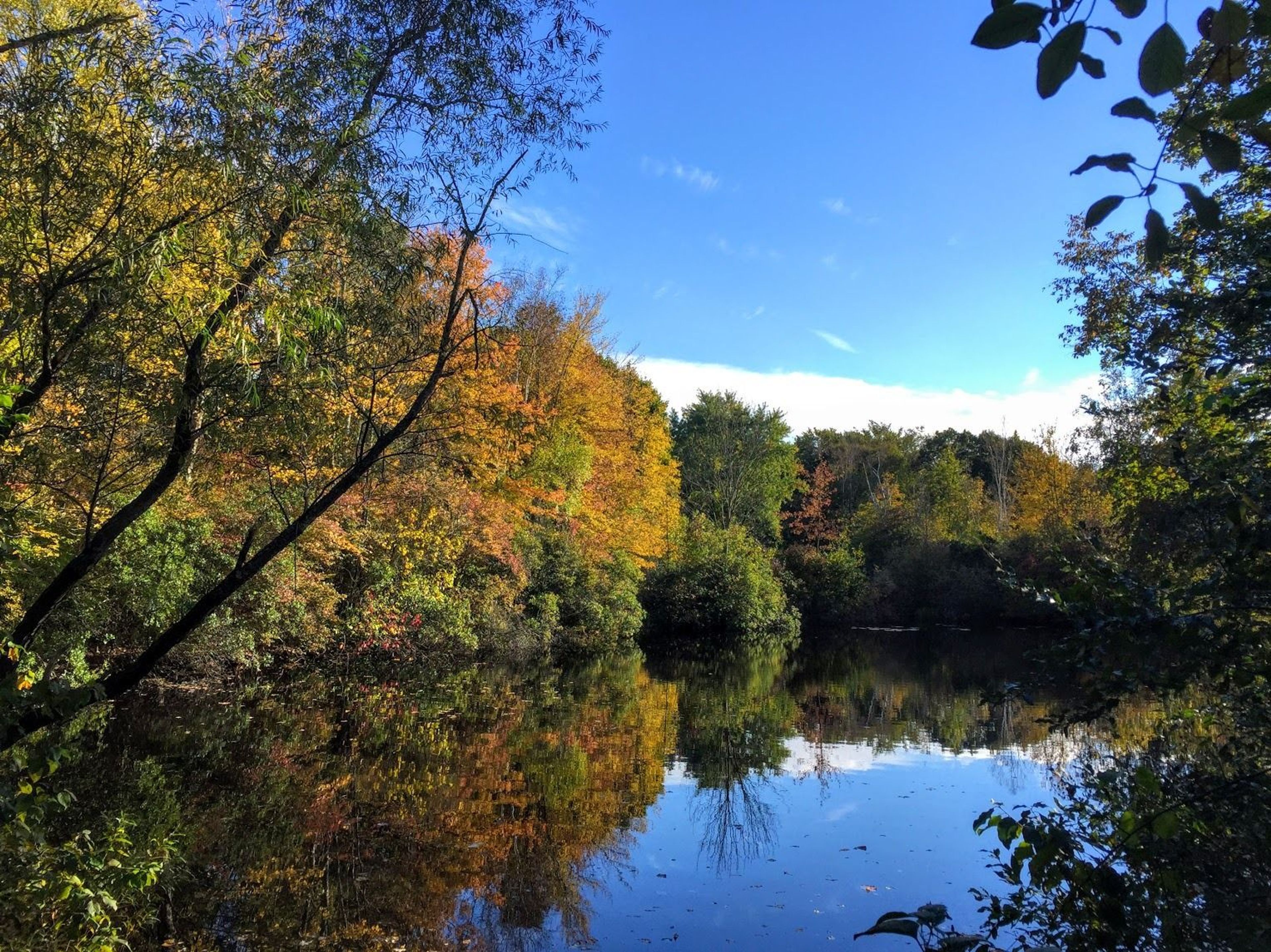 Photo by Audubon Society of RI.