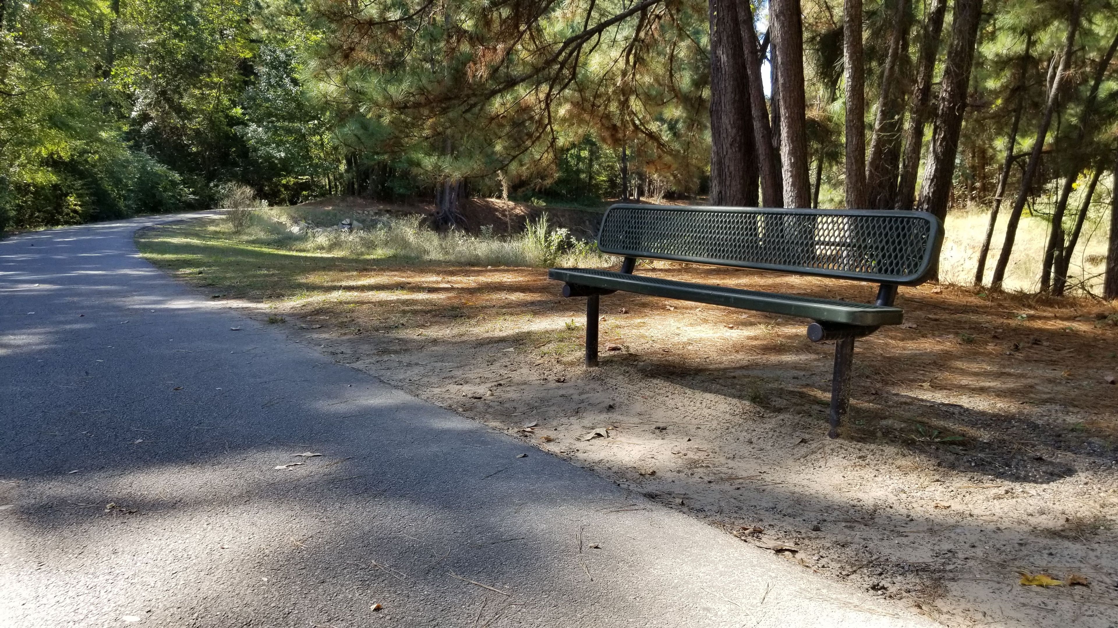 Multiple benches are found along the trail. Photo by Todd Shelley.