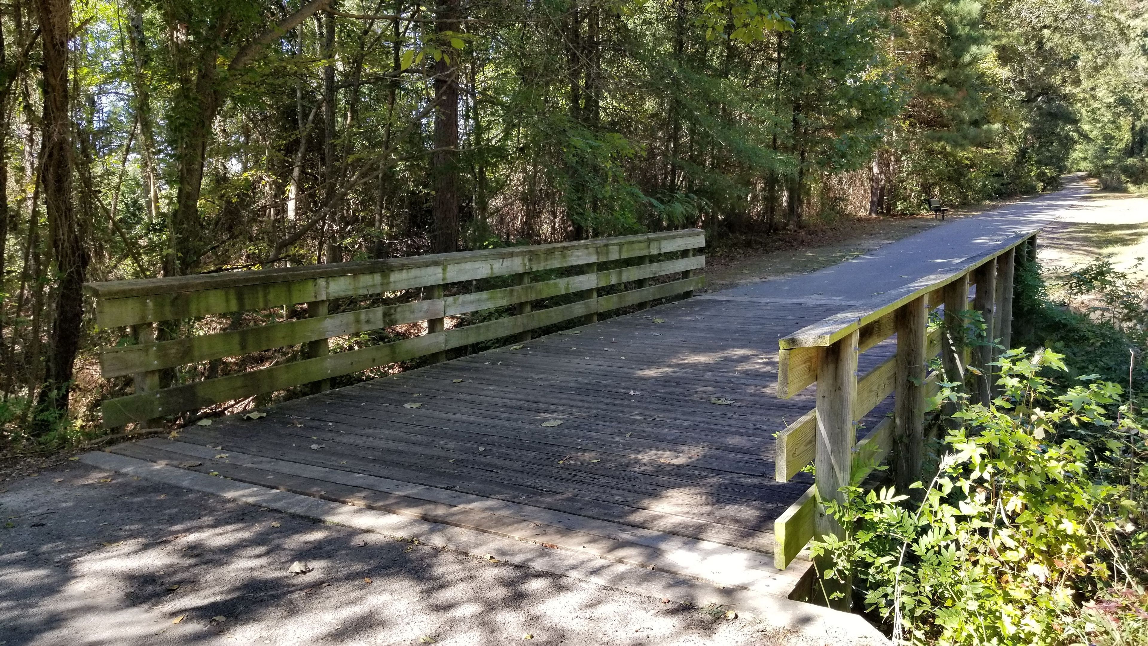 A wooden bridge crosses a small creek. Photo by Todd Shelley.