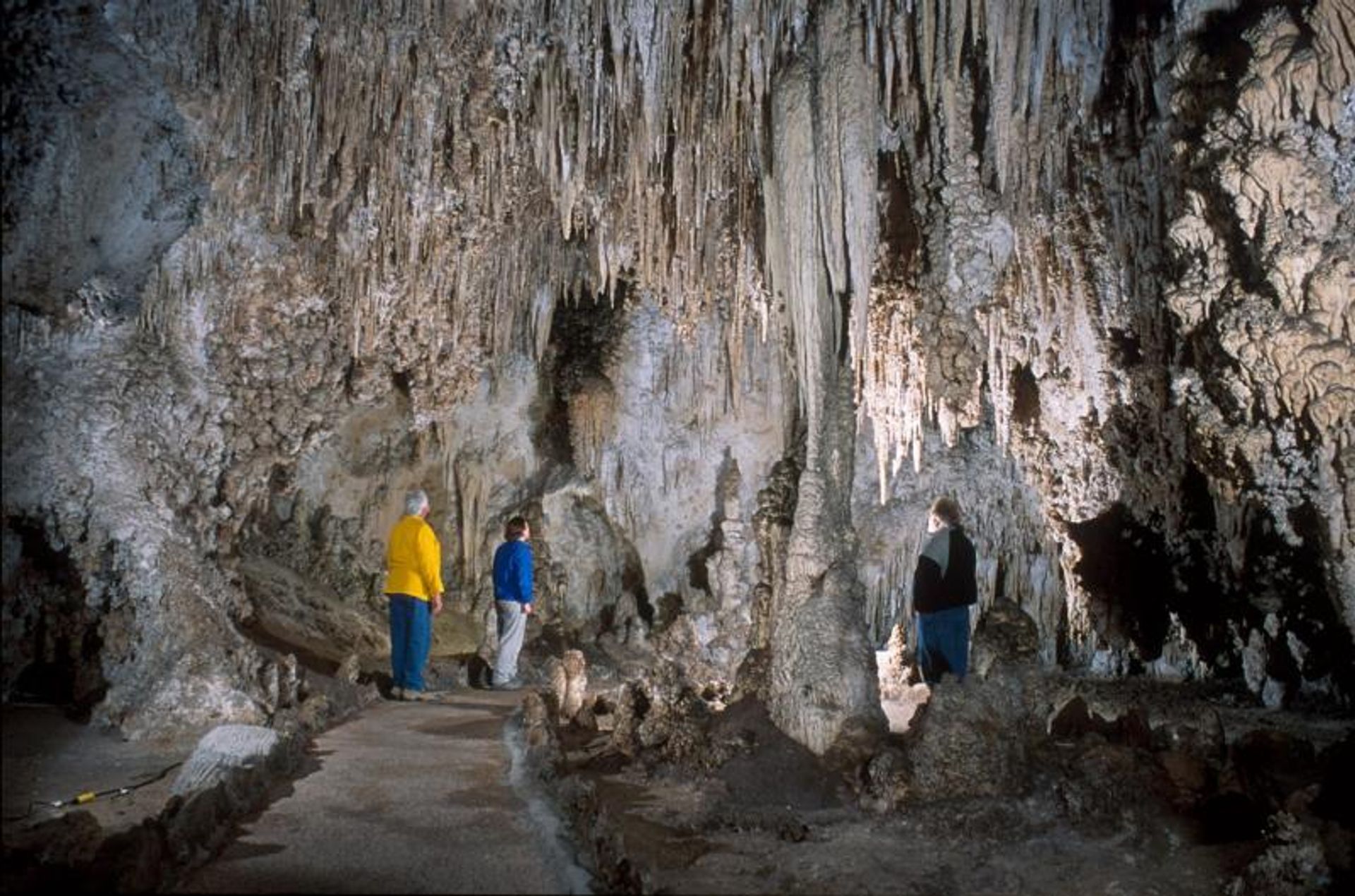 King's Palace is home to massive amounts of cave formations of all shapes and sizes. Photo by NPS/Peter Jones.