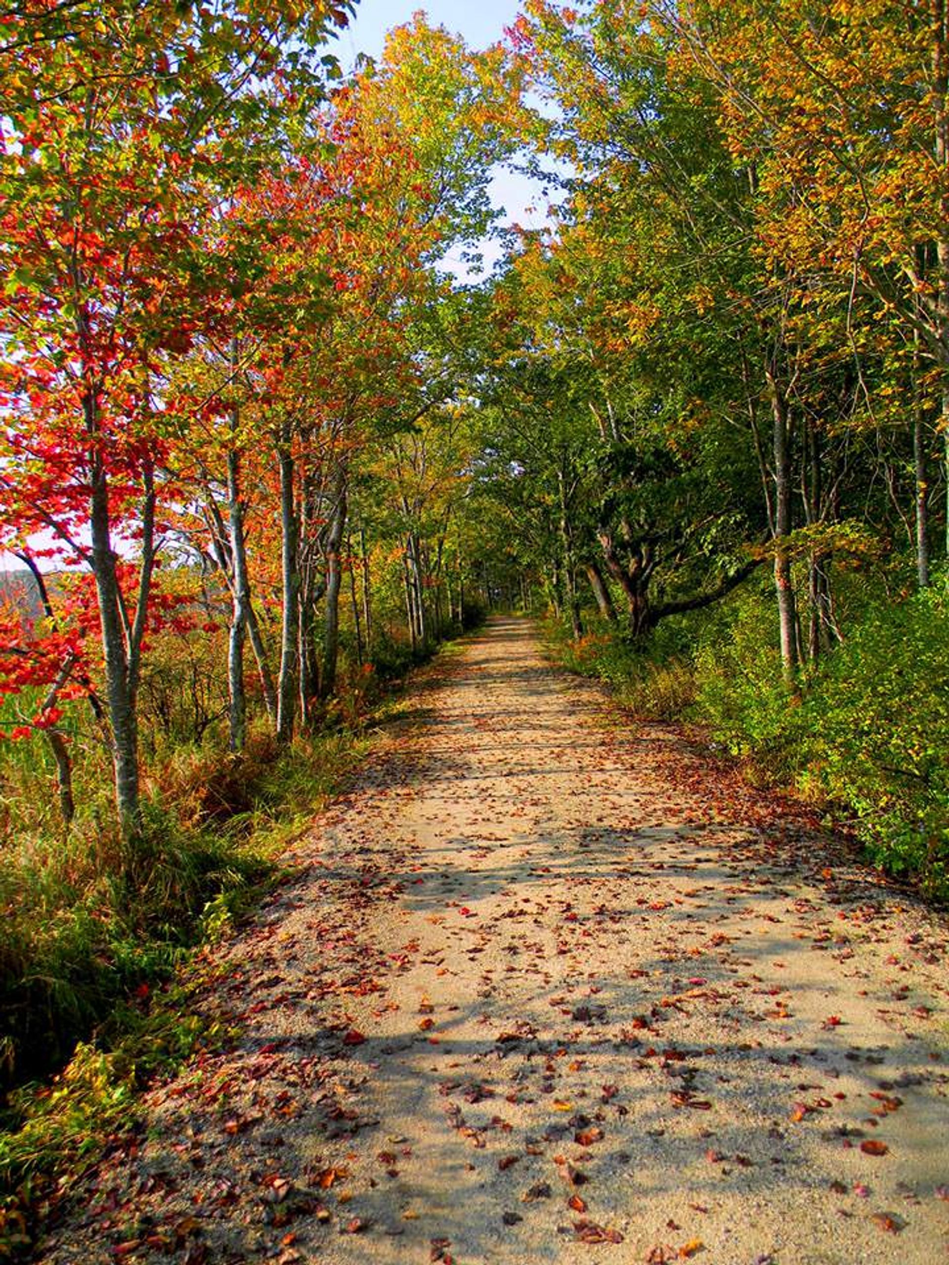 A fall trail beckons at Rachel Carson National Wildlife Refuge in Maine. Photo by USFWS.