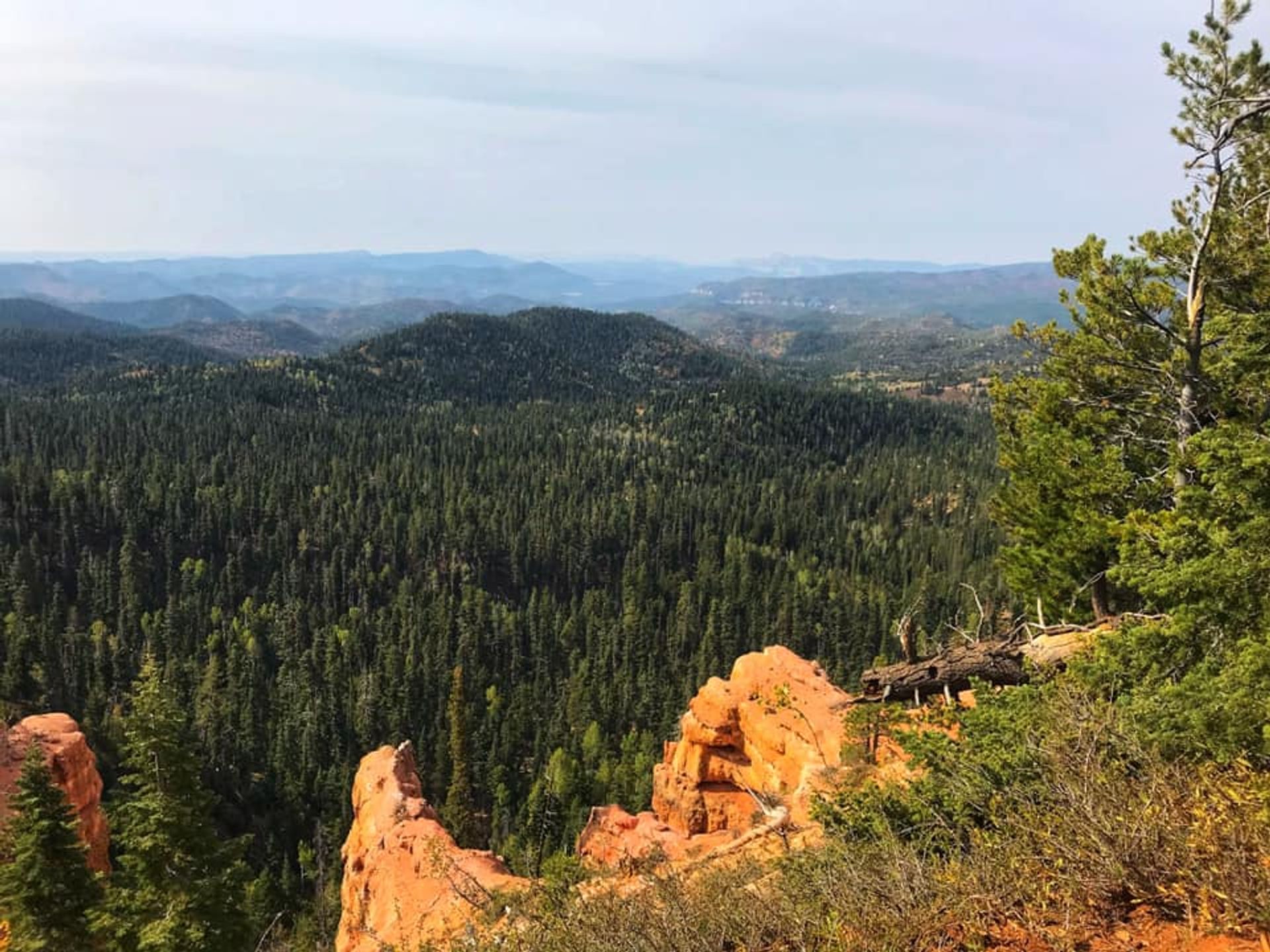 Looking south to Zion. Photo by Pam Riches.