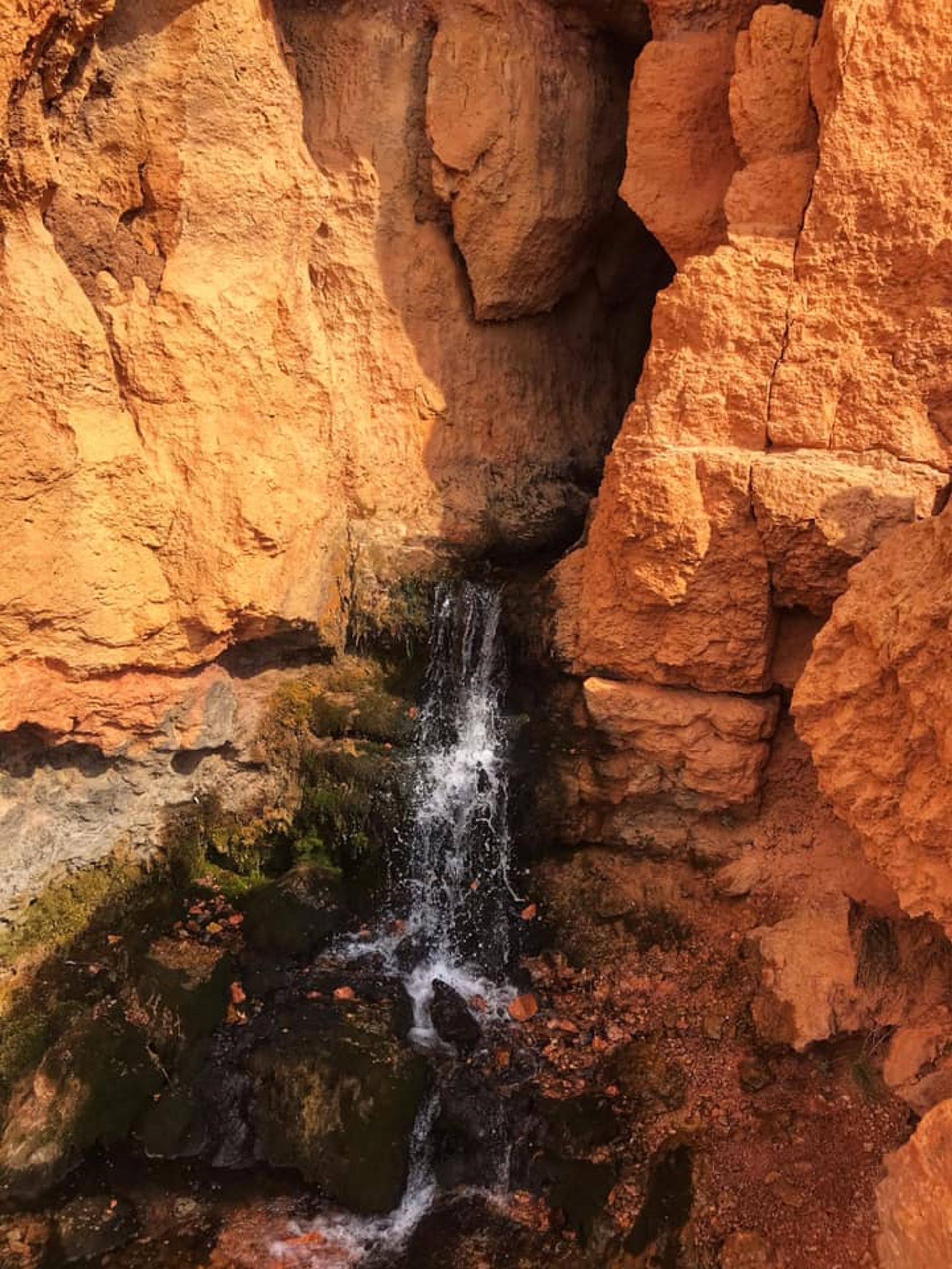 Falls coming out of the sandstone. Photo by Pam Riches.