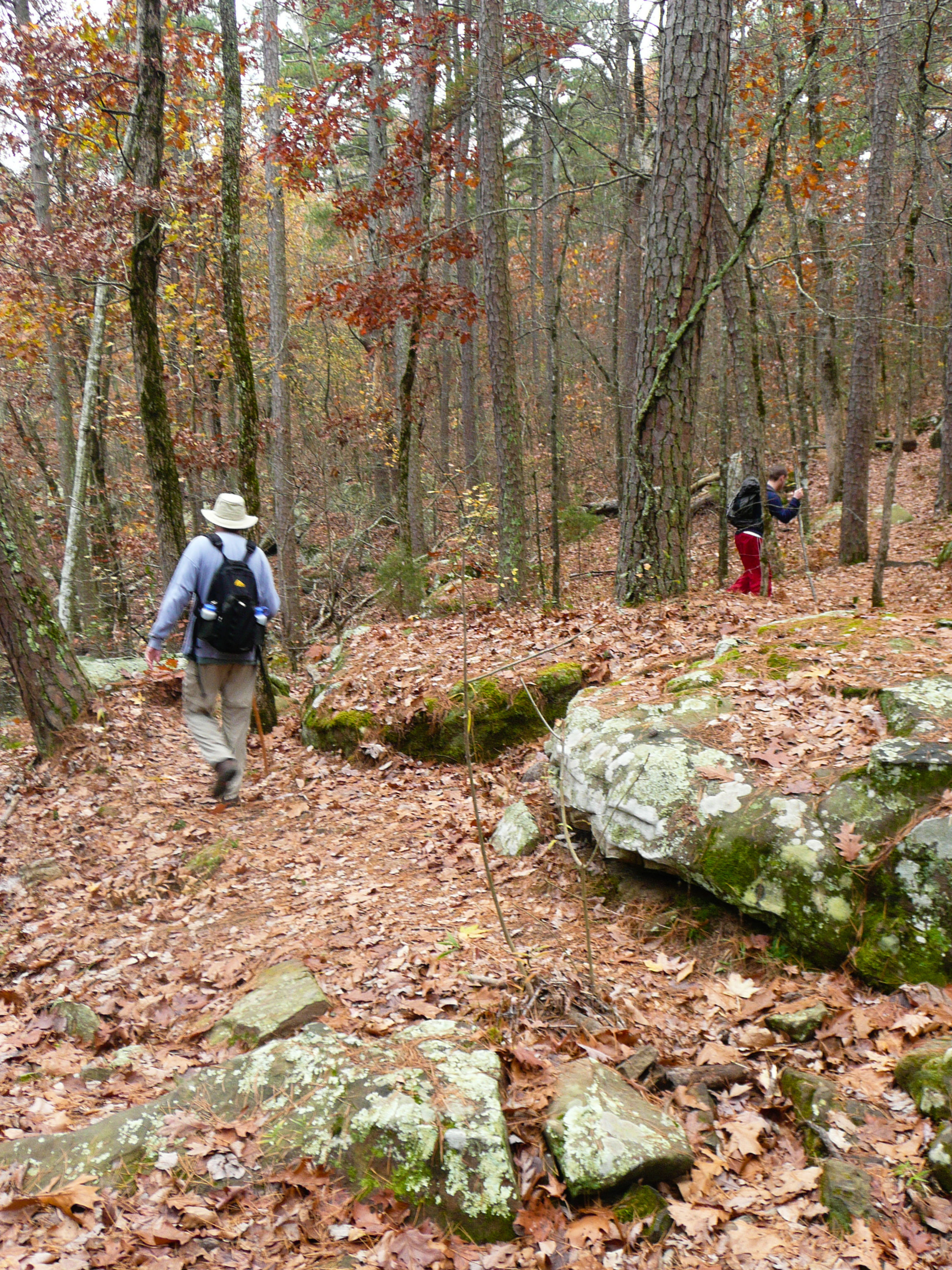 Hikers on Cedar Creek Trail. Photo by Bryan Hodges.