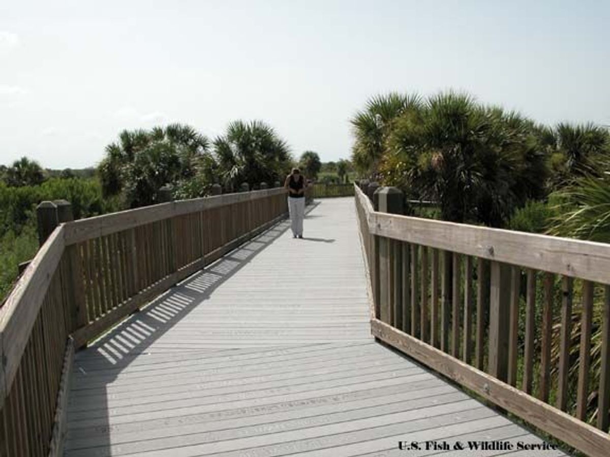 Boardwalk. Photo by Paul Tritaik.