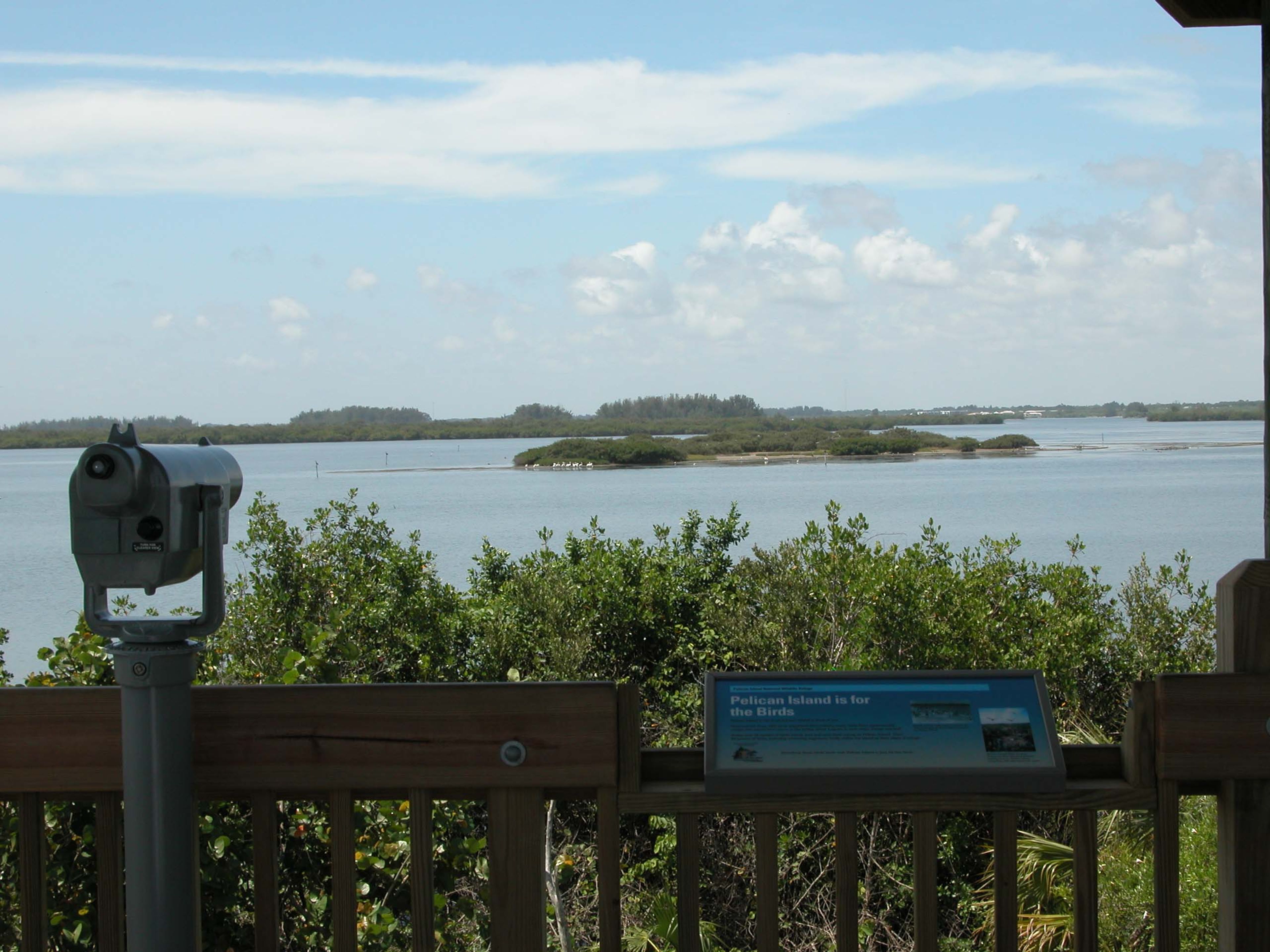 Tower view of Pelican Island. Photo by Paul Tritaik.