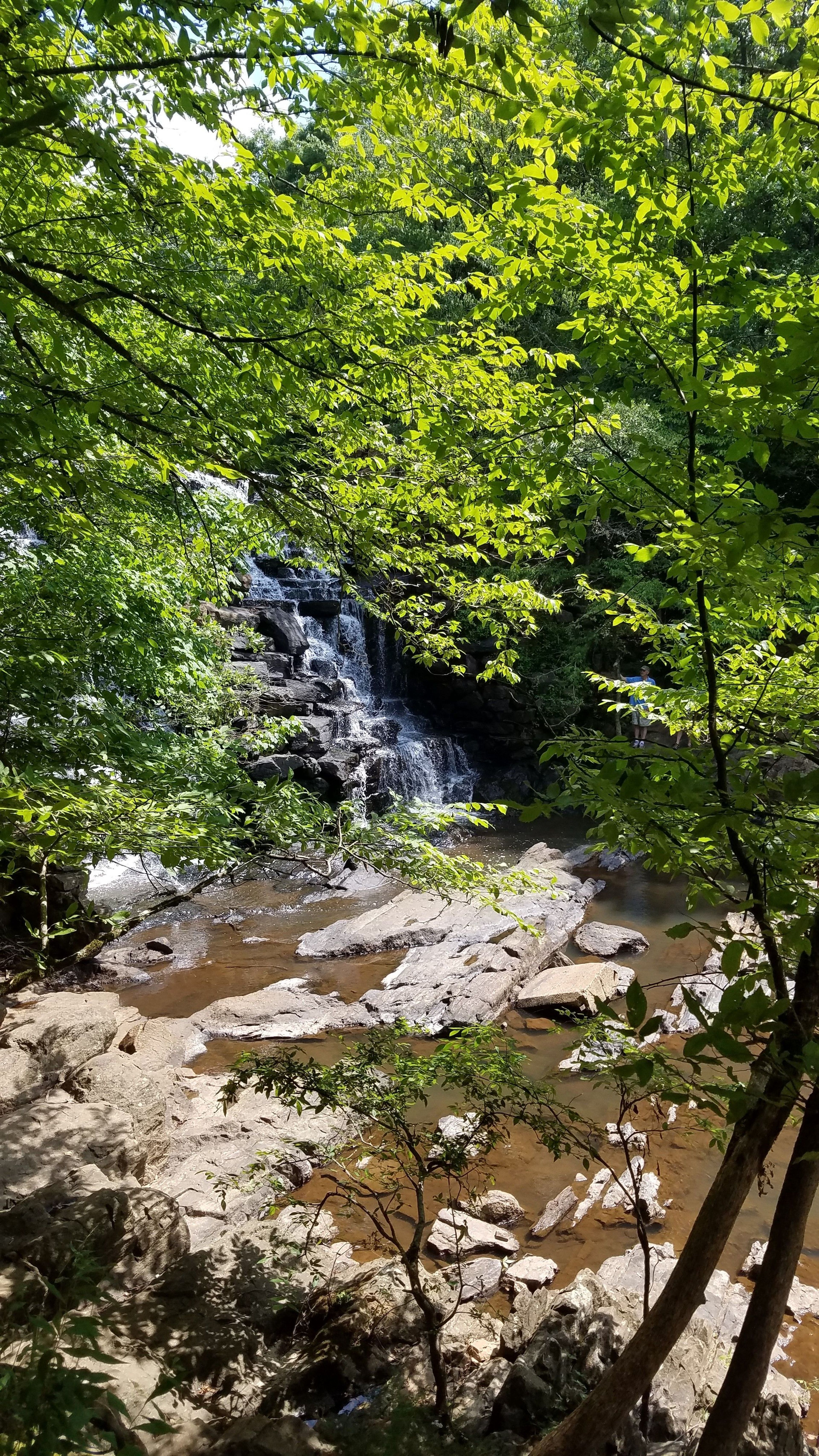 Guided hike to the waterfall. Photo by Tasha Simon.