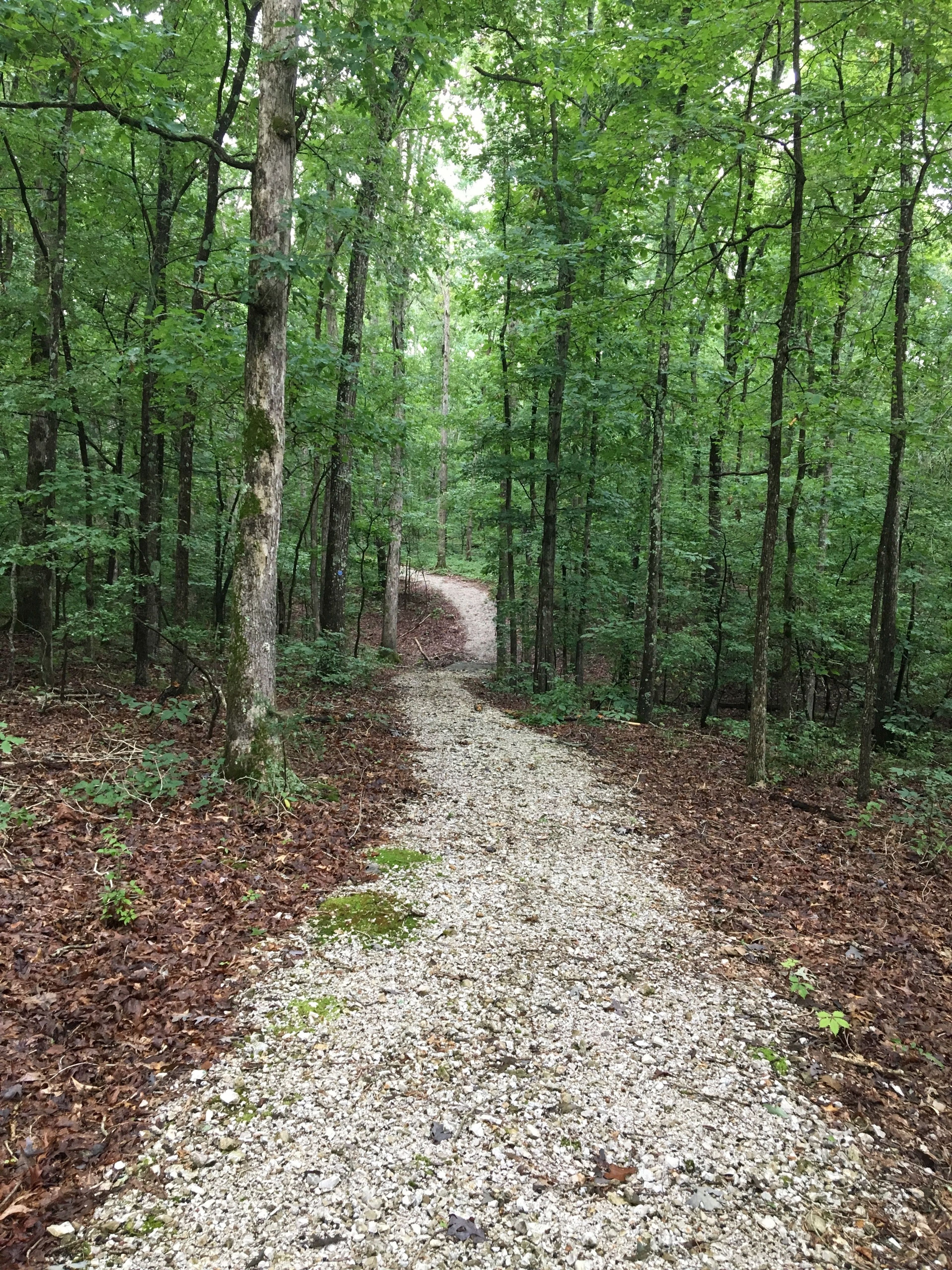 The trail gently winds through a reforested landscape and has a crushed rock surface. Photo by Donna Kridelbaugh.