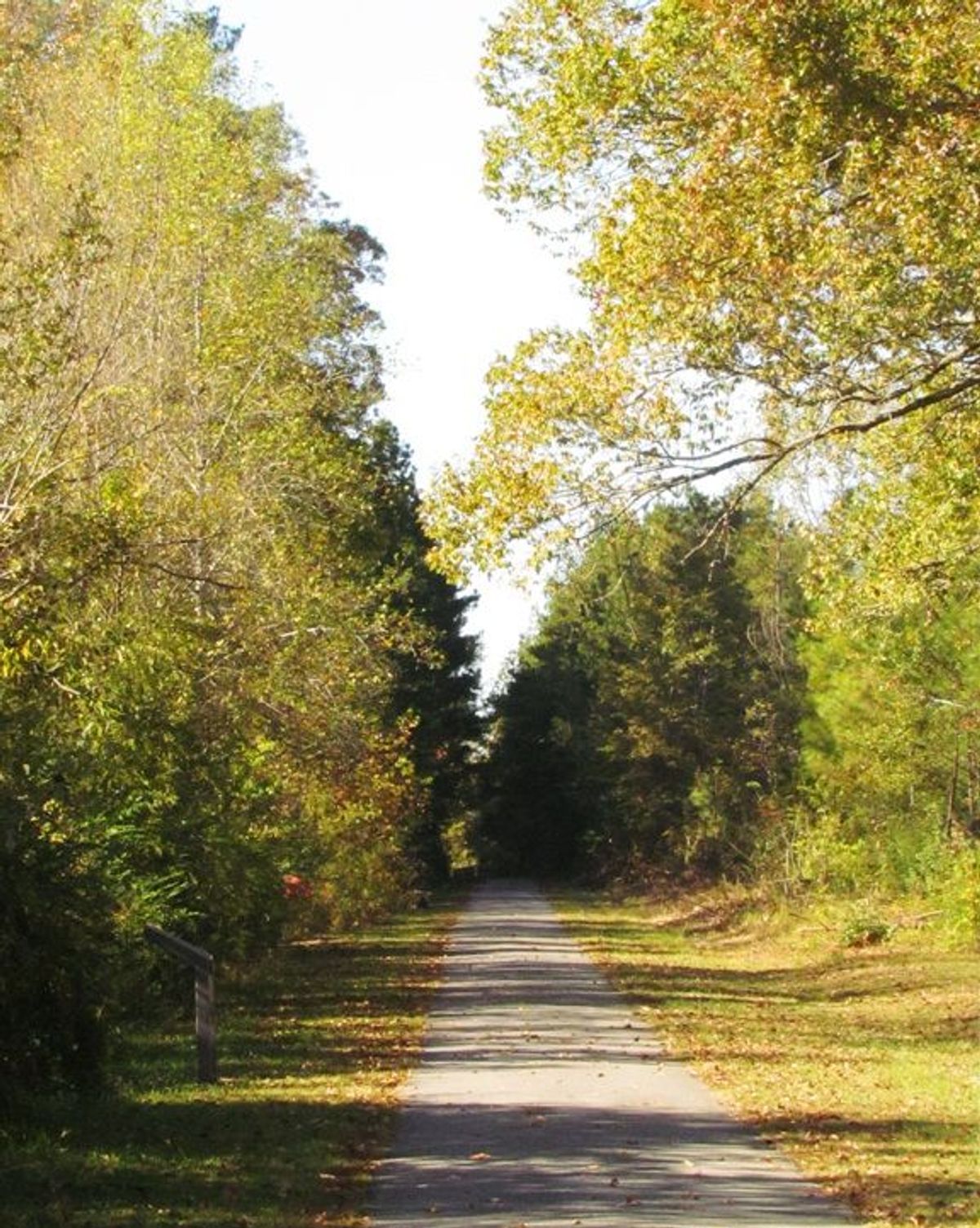 Chief Ladiga Trail in Piedmont, Alabama. Photo by John H. Morgan, III.