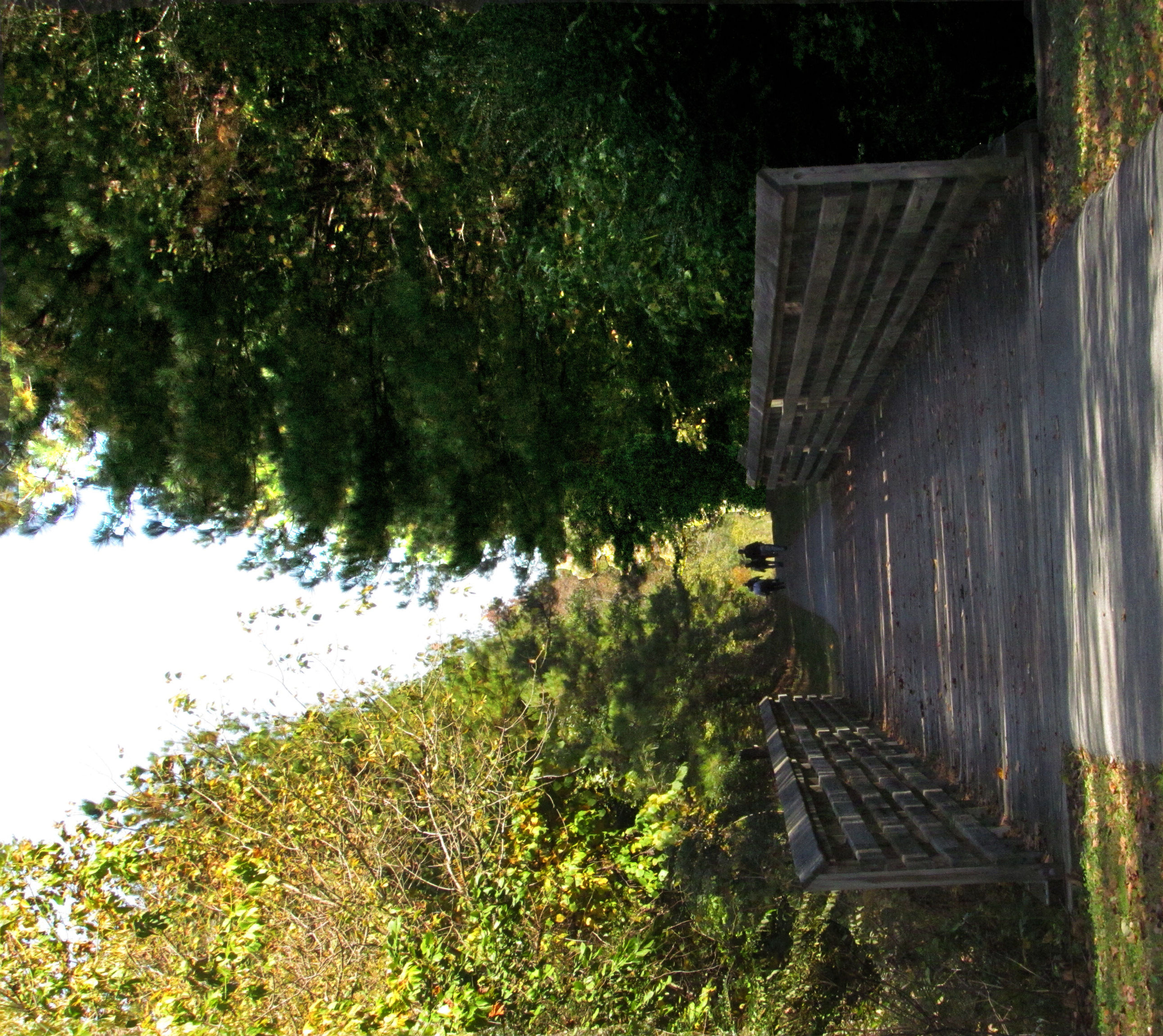 Bridges and surrounding water provide excellent bird watching opportunities. Photo by John H. Morgan, III.