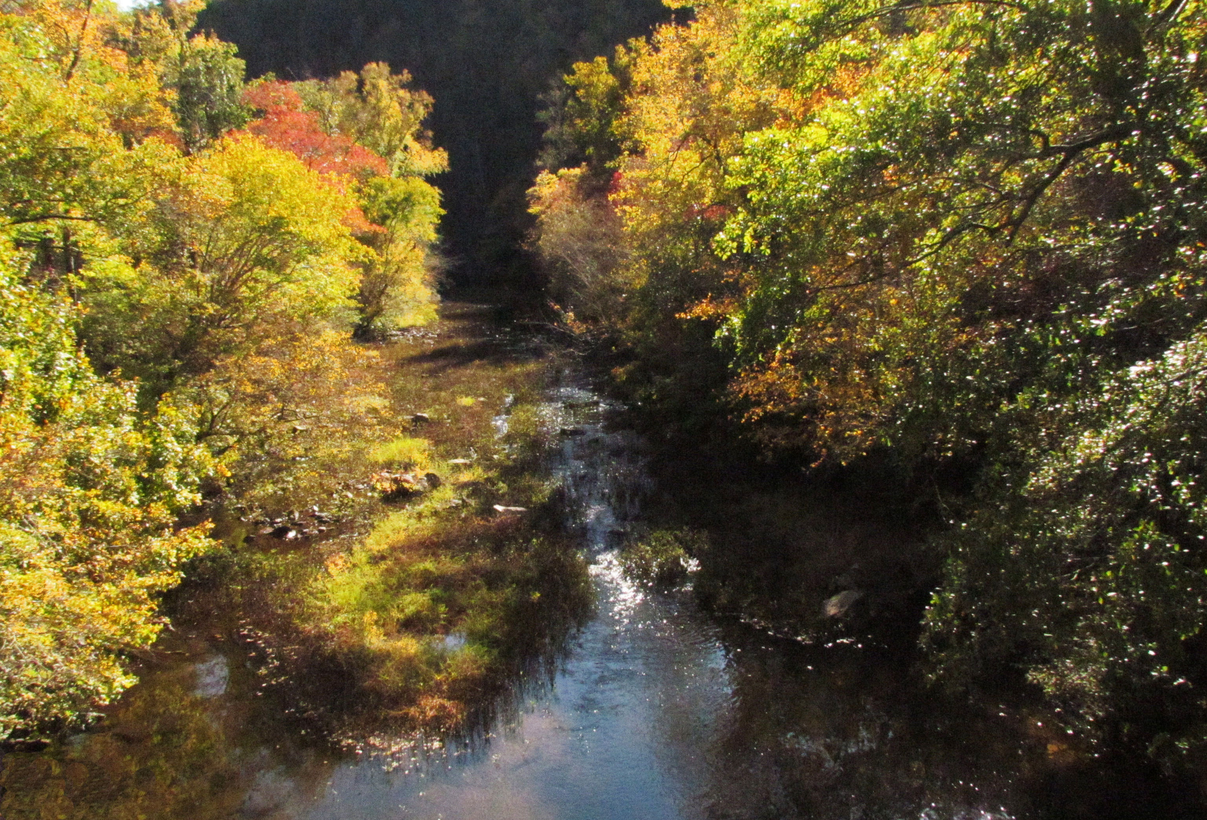 The river below with all of the fall colors in full glory. Photo by John H. Morgan, III.