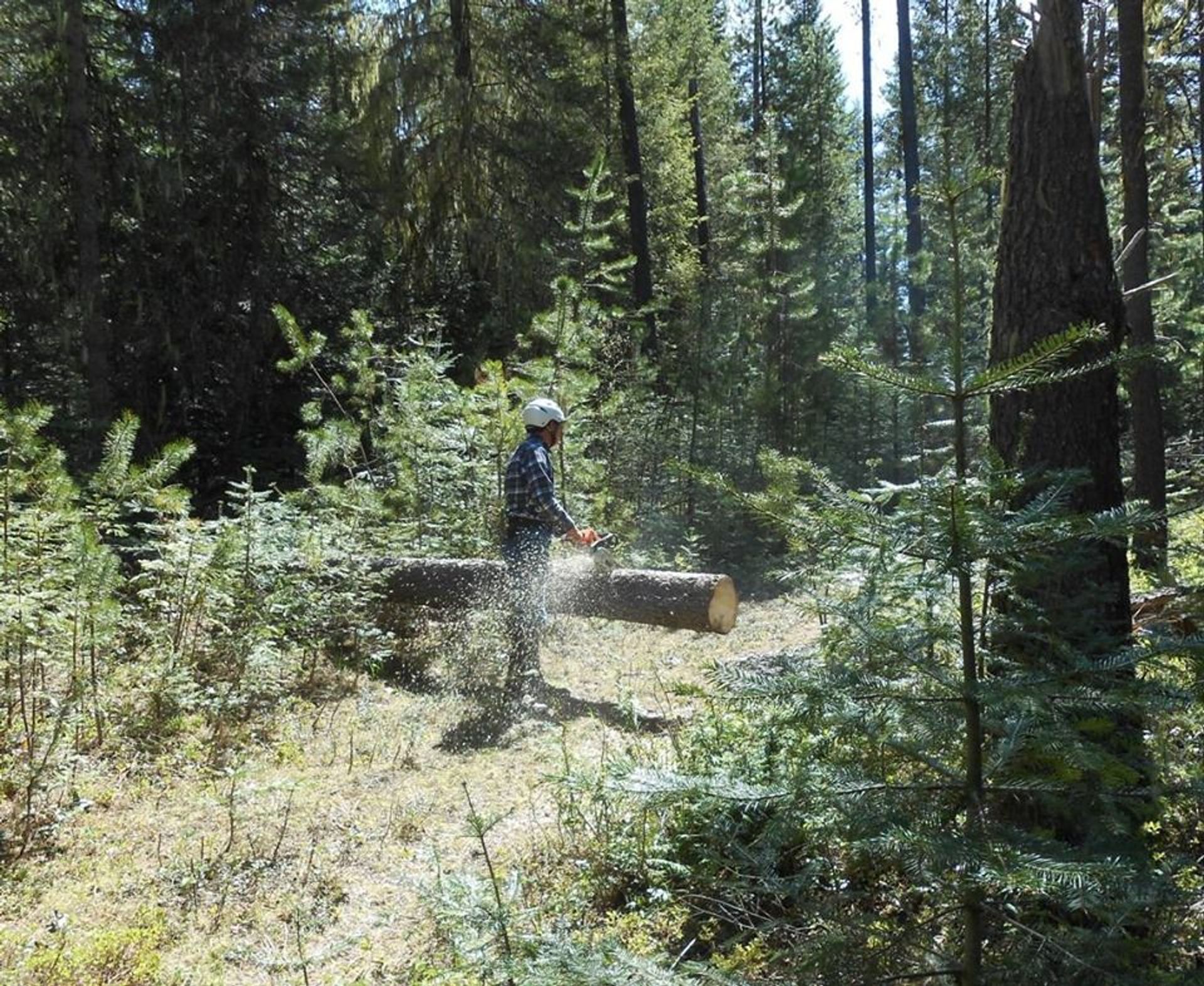 PRVBCH doing pre-season clearing on the trail. Photo by Mary Schrempp.