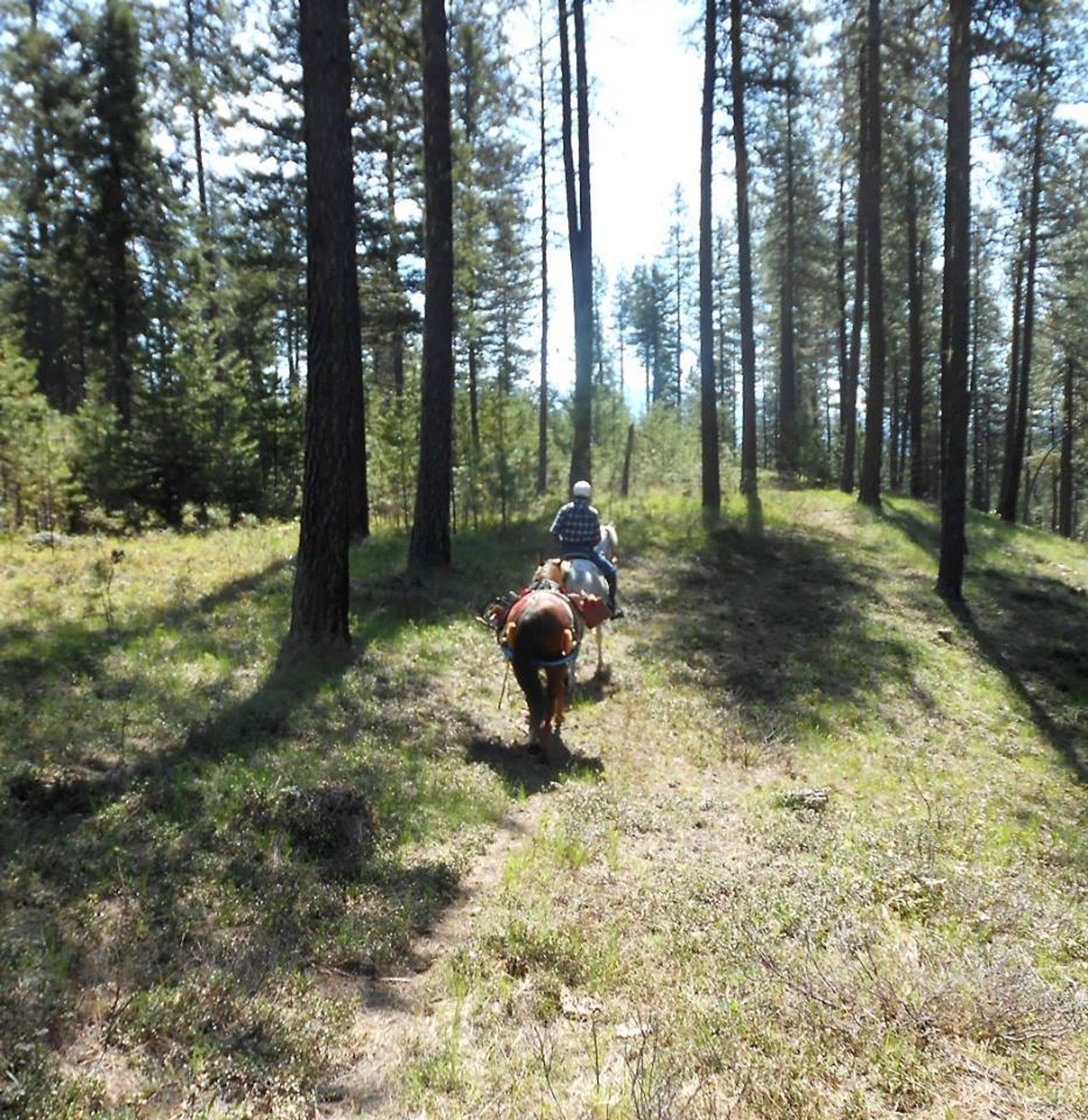 PRVBCH doing pre-season clearing on the trail. Photo by Mary Schrempp.