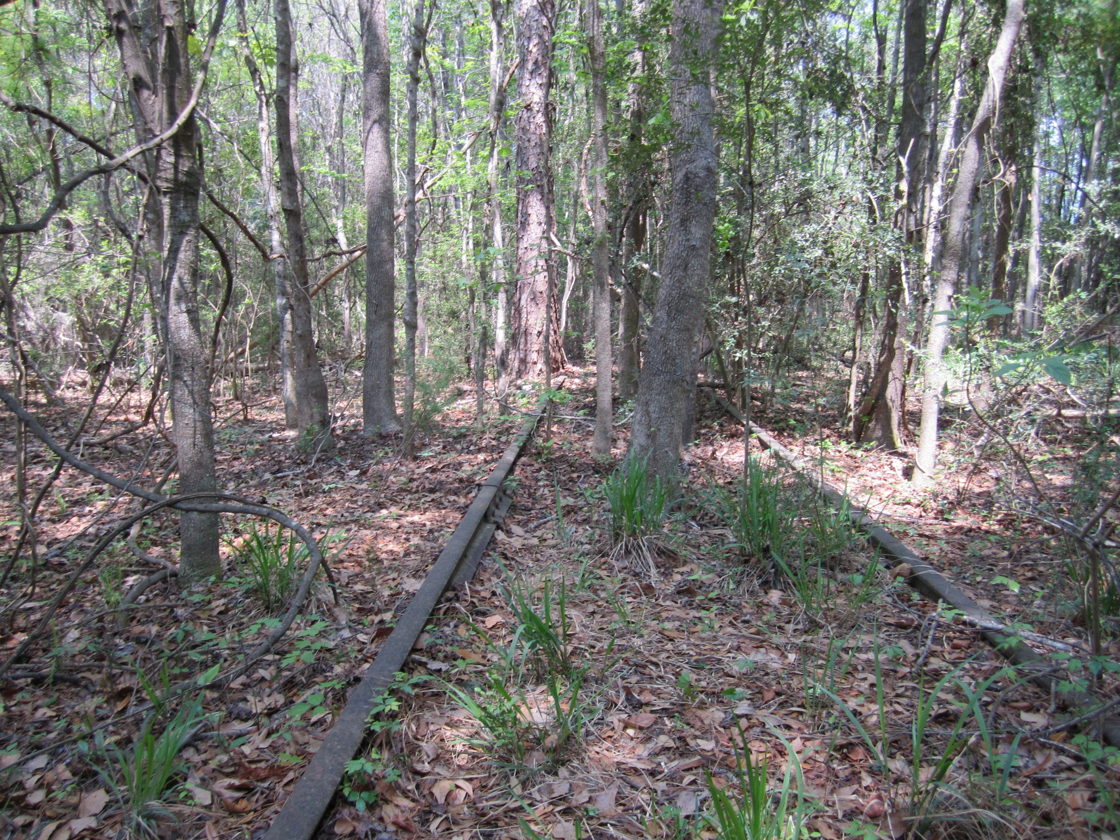 Chipola River Greenway - Hinson Conservation and Recreation Area Trail System