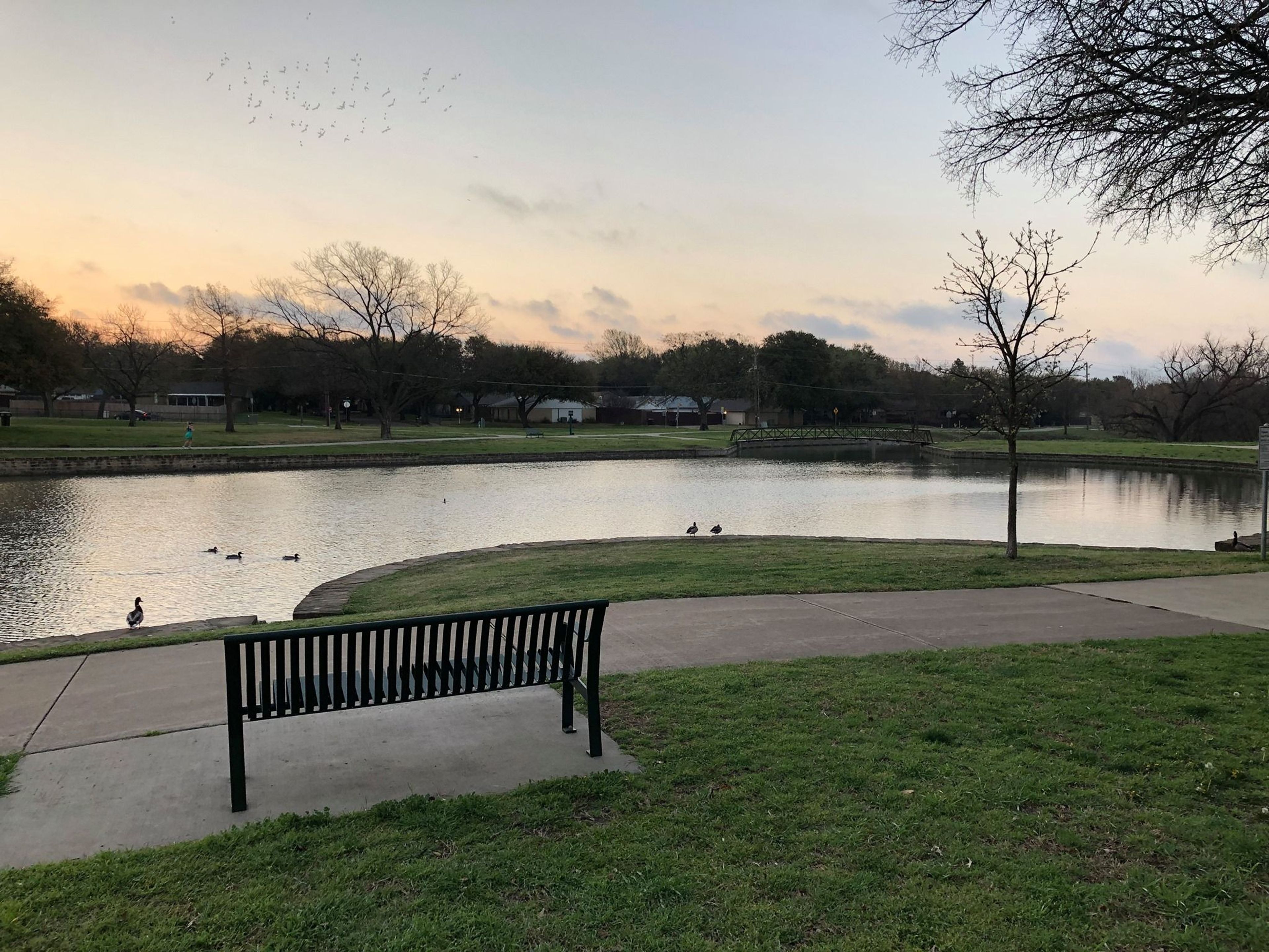 The Chisholm Trail passing thru one of Plano's City Parks. Photo by City Plano Parks & Rec Staff.