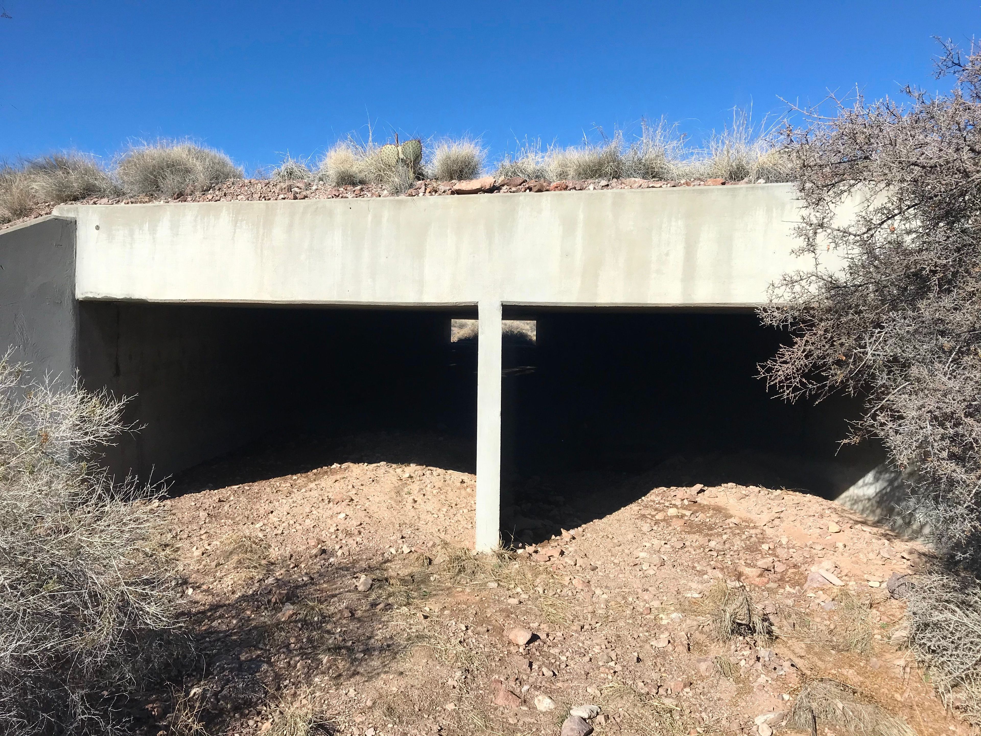 Tunnel under I-25. Photo by Pam Riches.