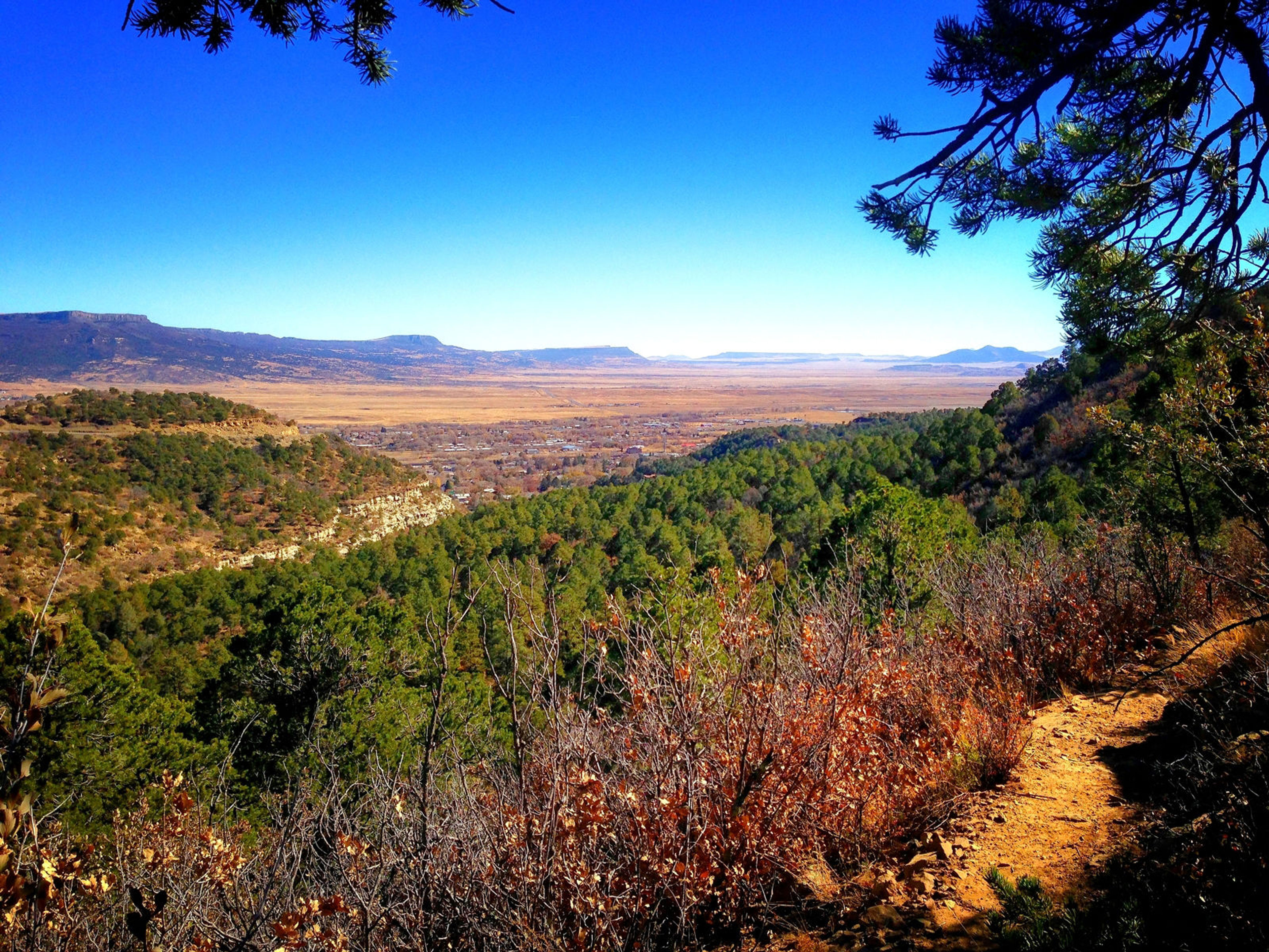 View from trail