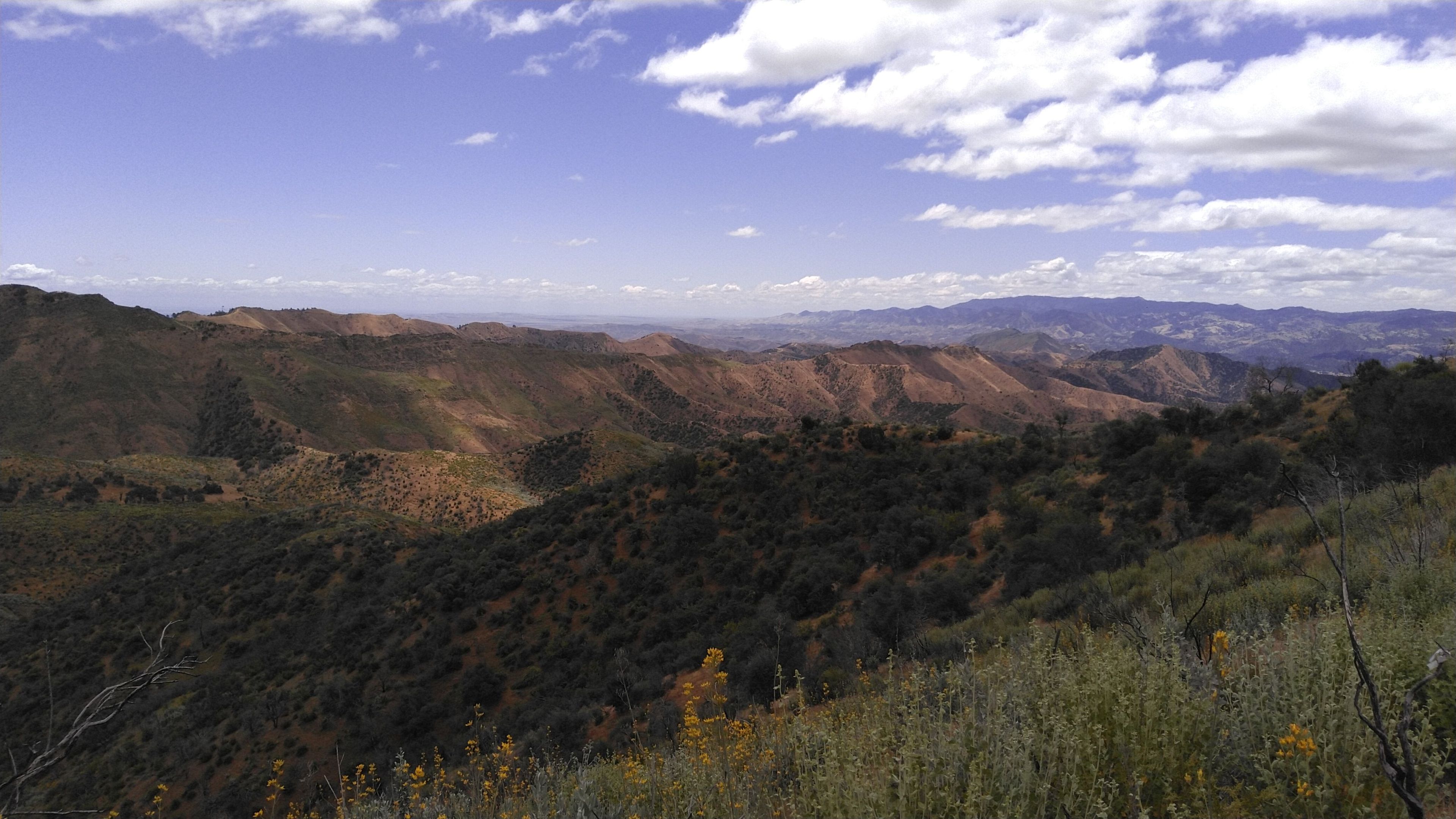 Looking towards Coalinga from Kreyenhagen Peak. Photo by Dale Johnson.