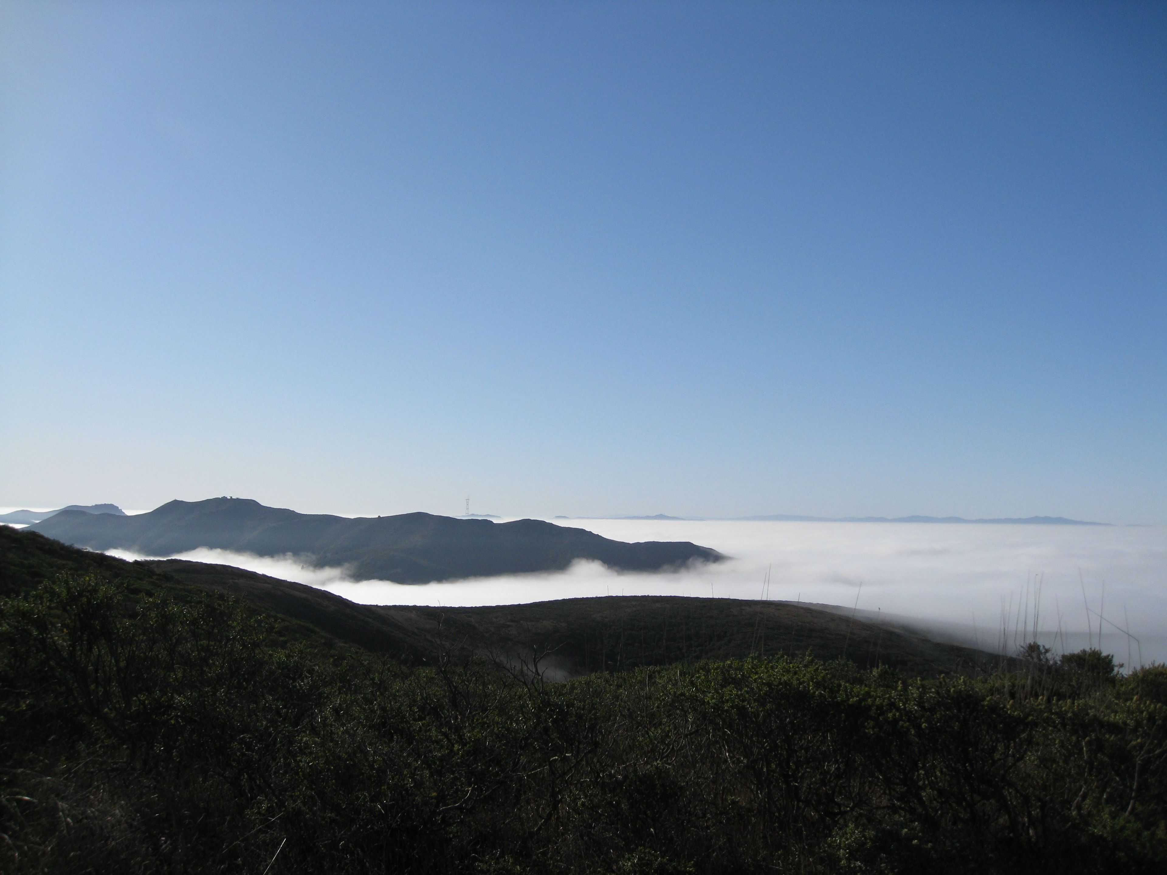 Coastal Trail from Tennessee Valley to Muir Beach as the NorCal fog rolls in. Photo by Nikki Montembeault.