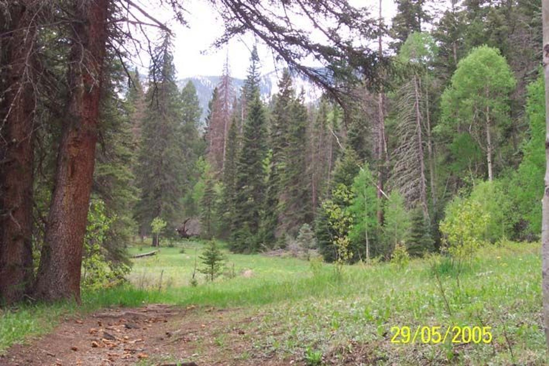 Columbine Trail in Carson National Forest. Photo by USDA Forest Service.