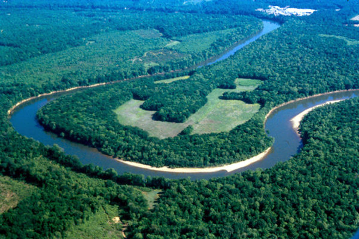 There is much to explore along the Congaree River Blue Trail! Photo by Virginia Winn.