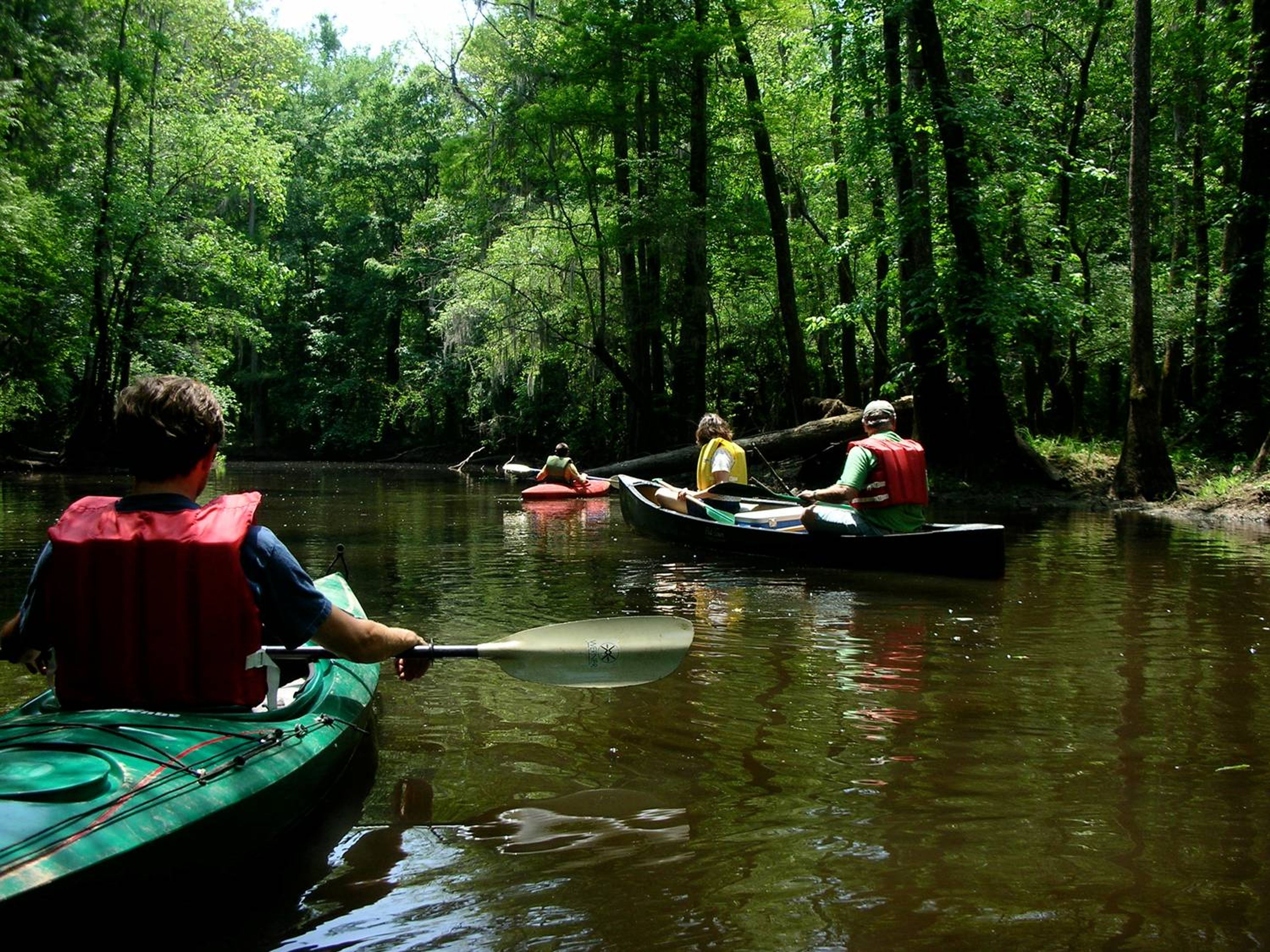 Congaree River Blue Trail in Congaree National Park. Photo by Ron Ahle.