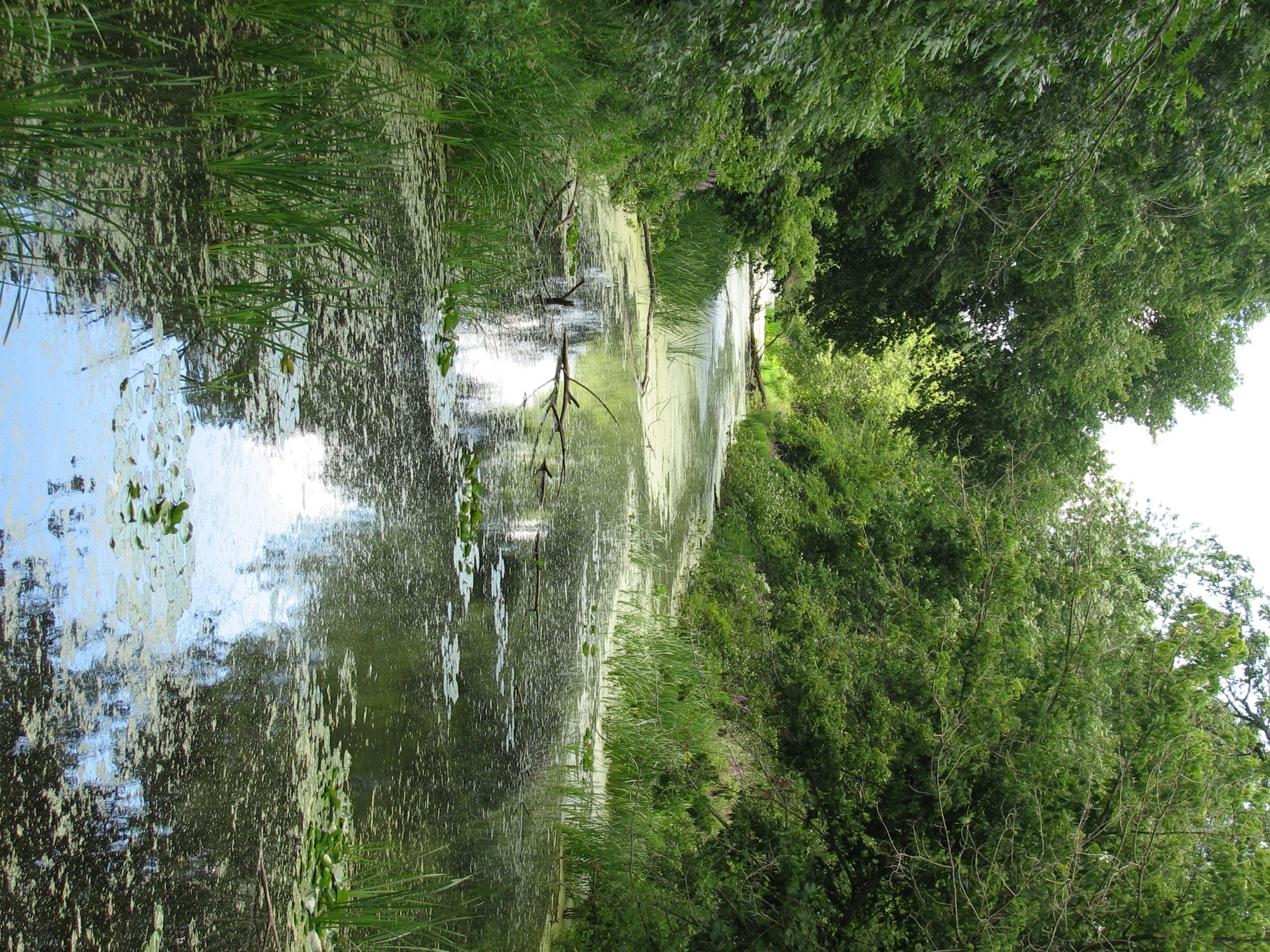 Canal Remnant. Photo by Stark County Park District.