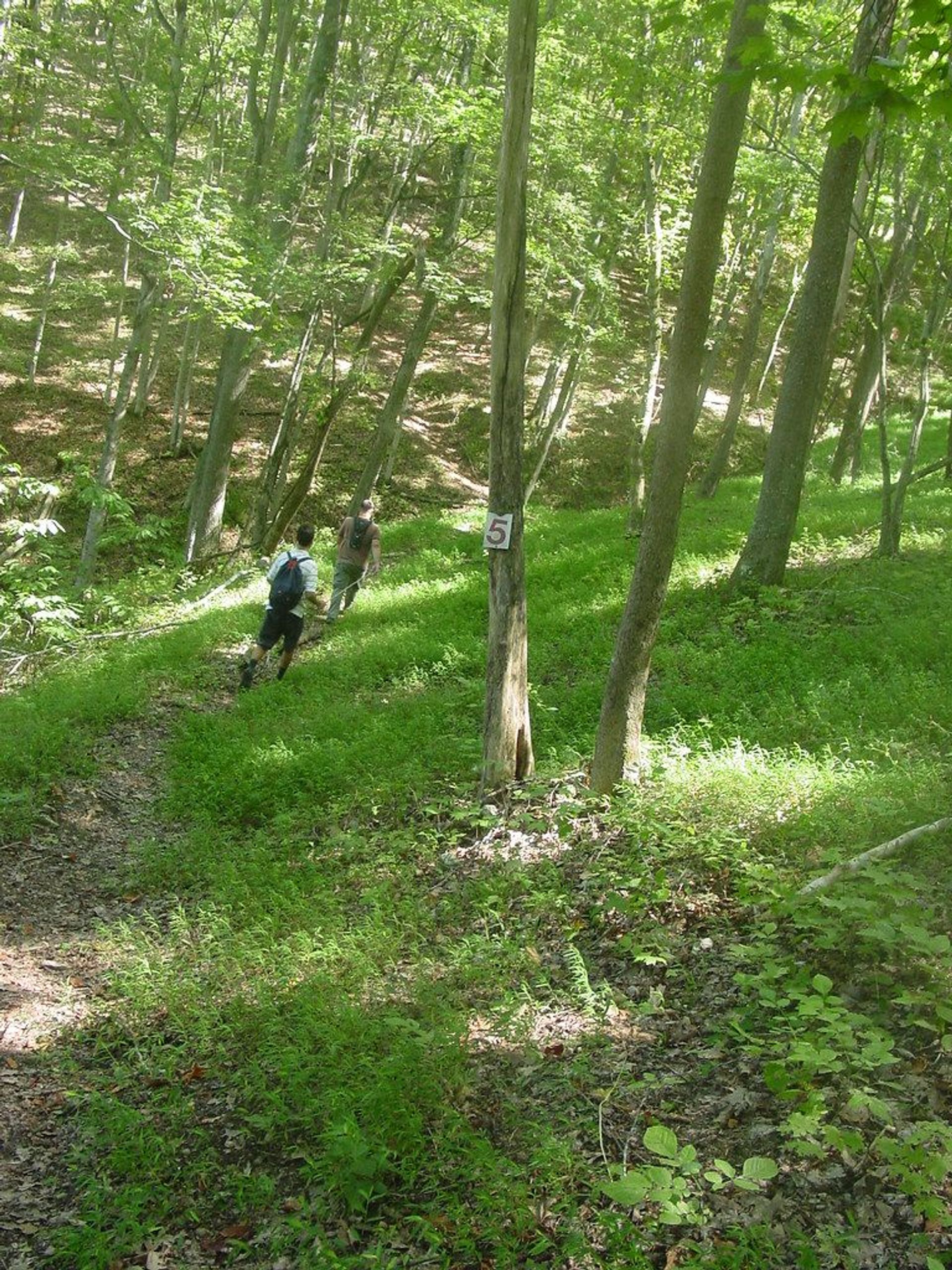 Wilderness Trail at Cordell Hull Lake. Photo by Kelly Stewart.