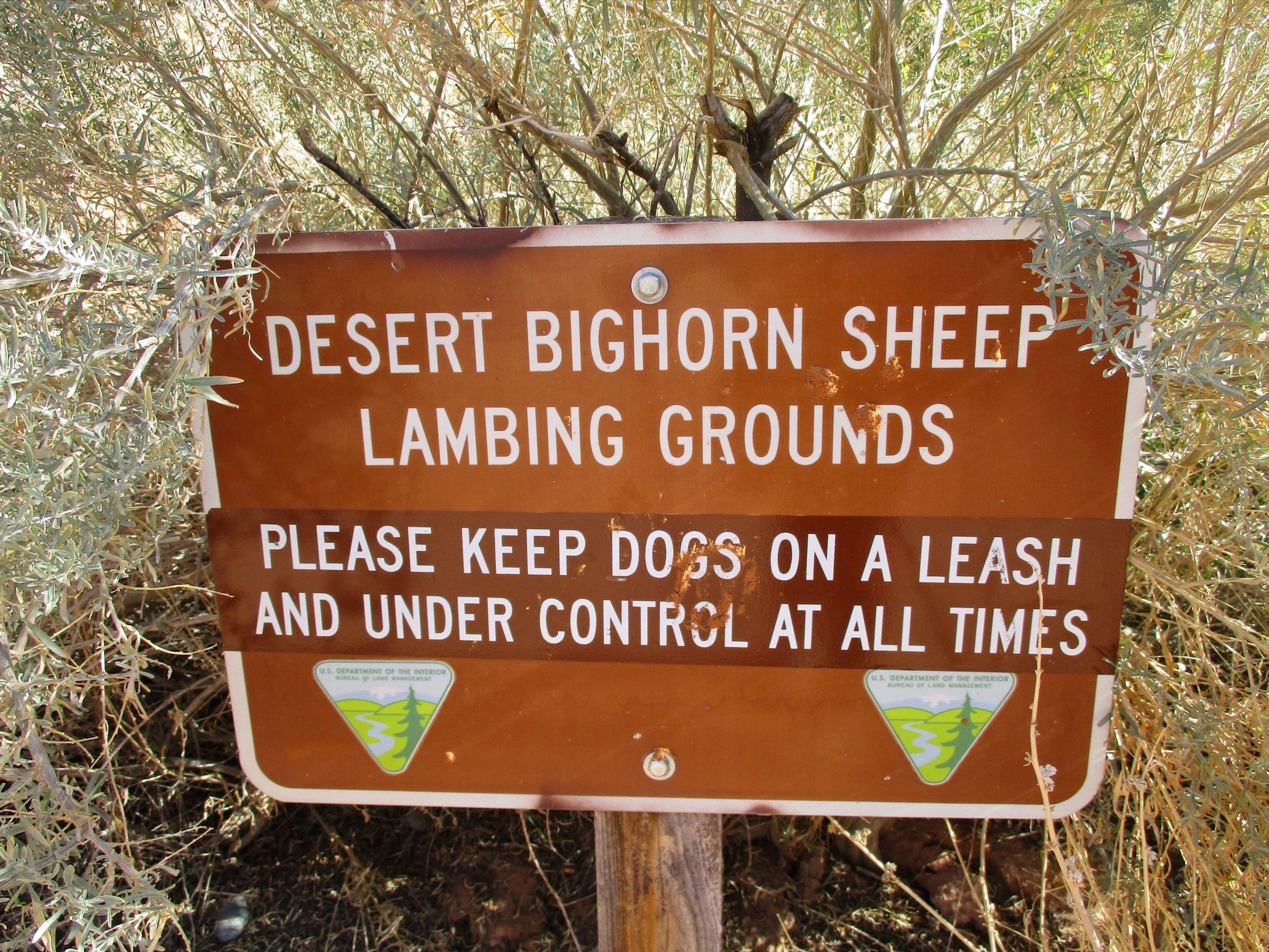 Sign at the trailhead for the Corona Arch Trail. Photo by Valerie A. Russo.