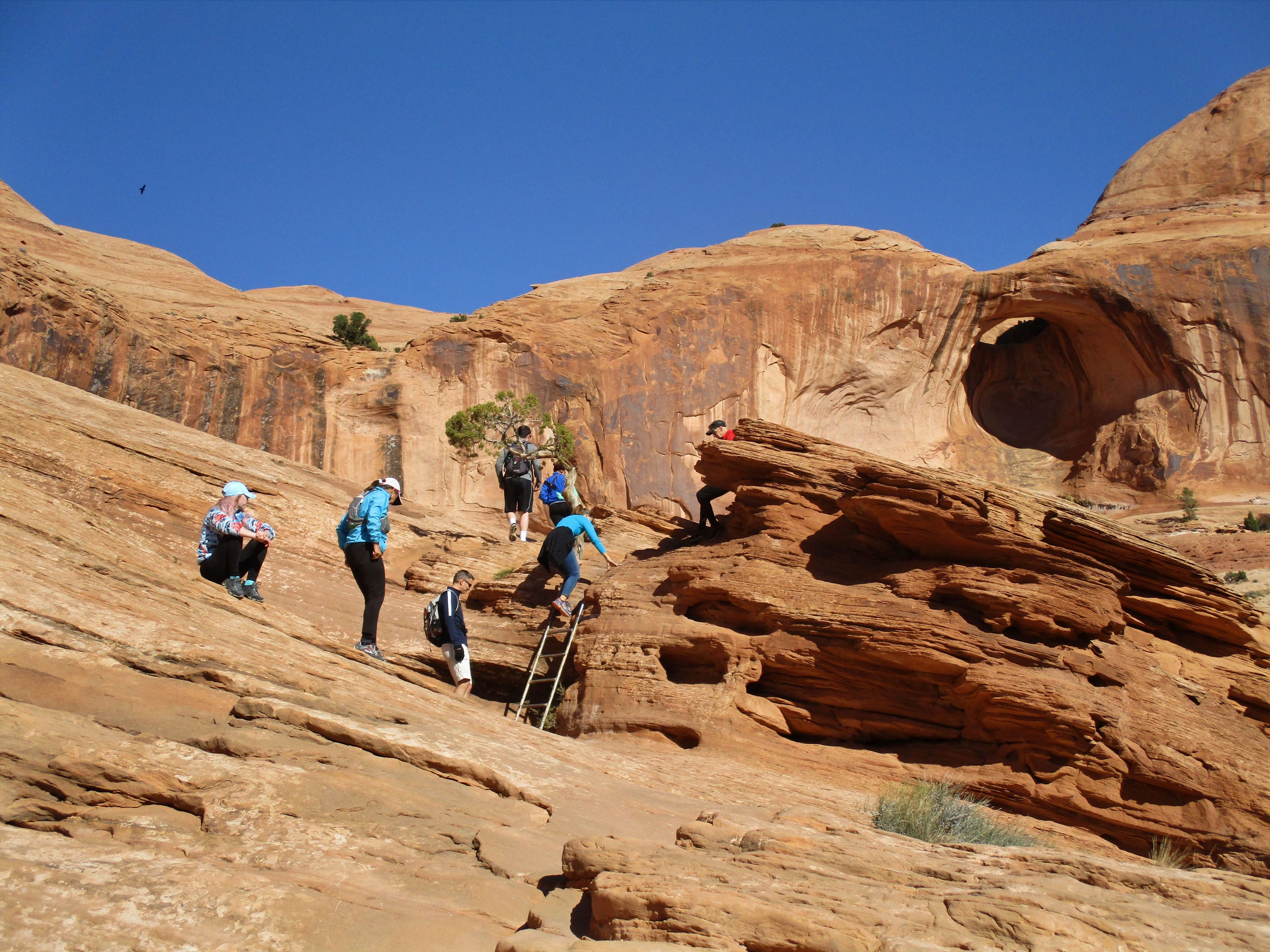 There are cables to hold onto and a ladder to climb on the steep part of the slickrock trail. Photo by Valerie A. Russo.