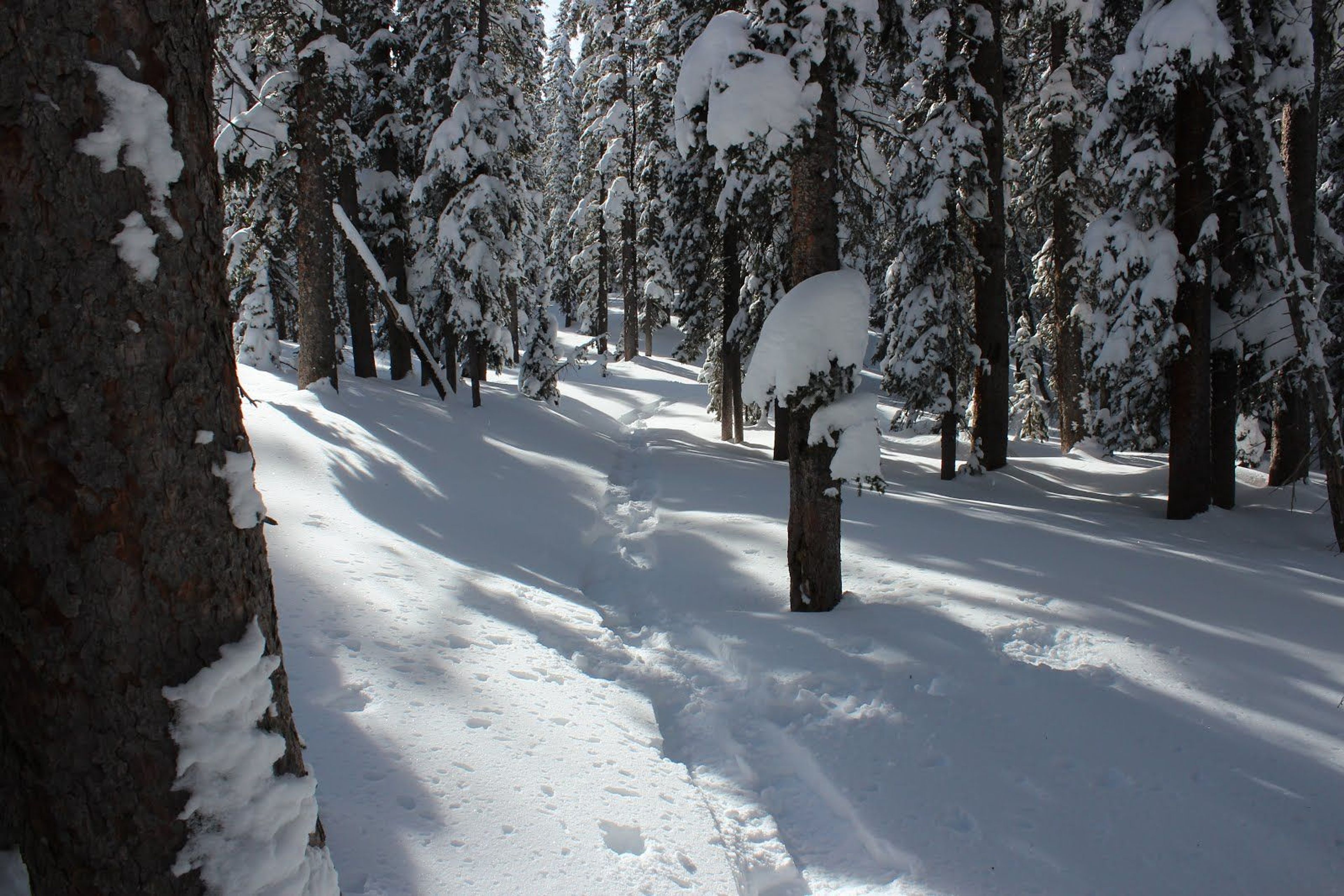 Whoever comes up next will have a much easier time of it with most of the trail broke to this point. Photo by GJHikes.