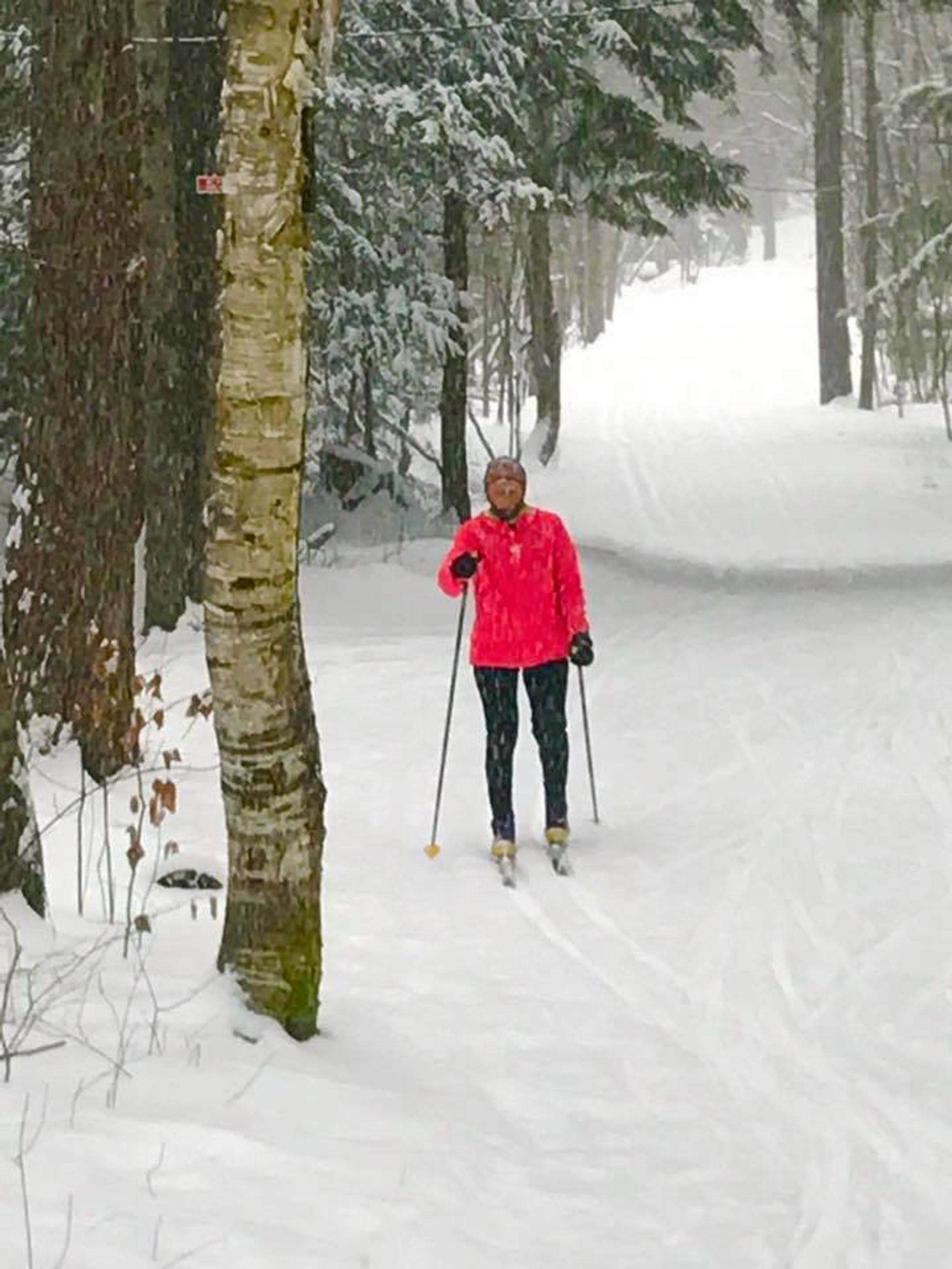 Miles of trails through the woods. Photo by Visitlakegeorge.