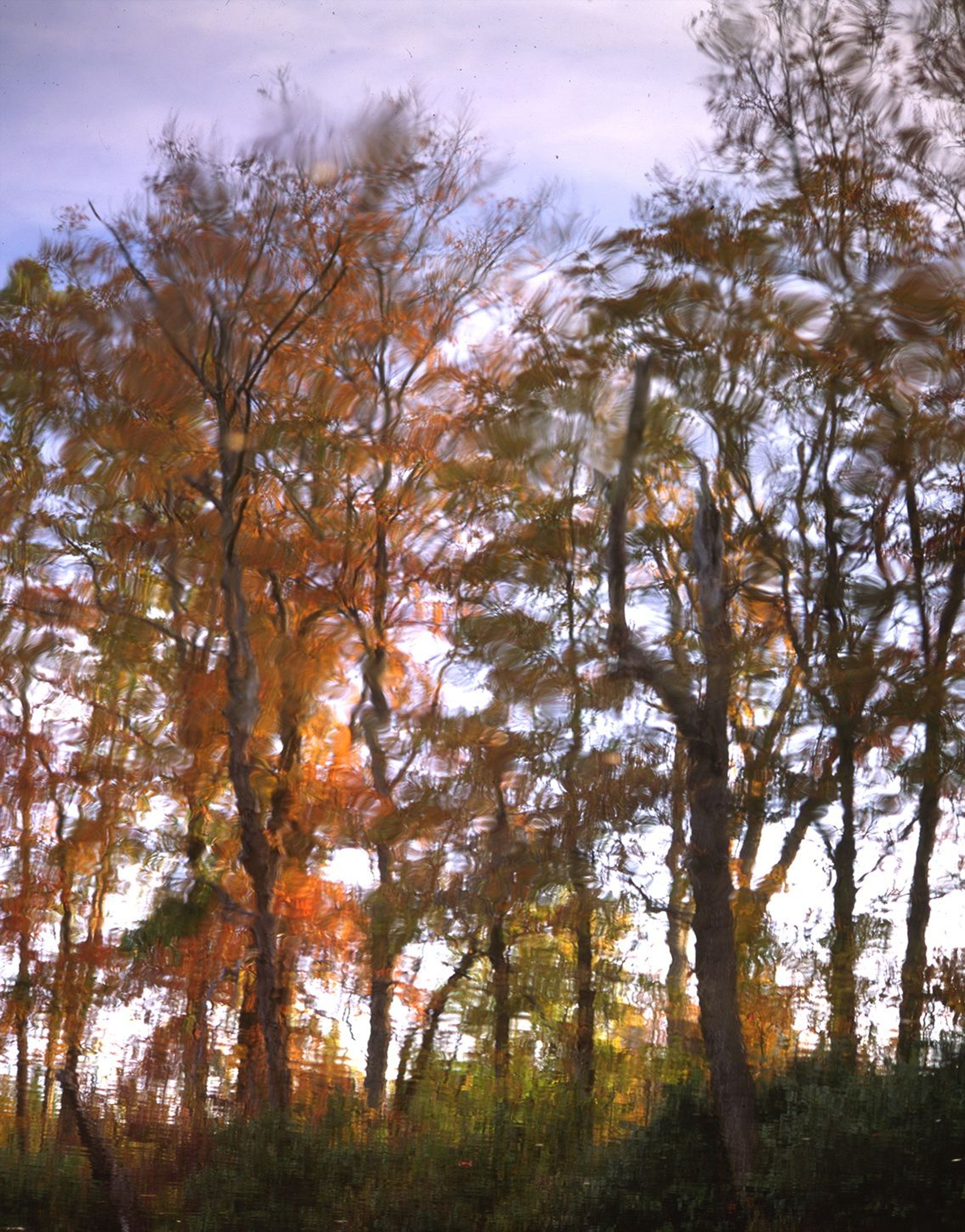 Autumn reflections. Photo by Don Massey.