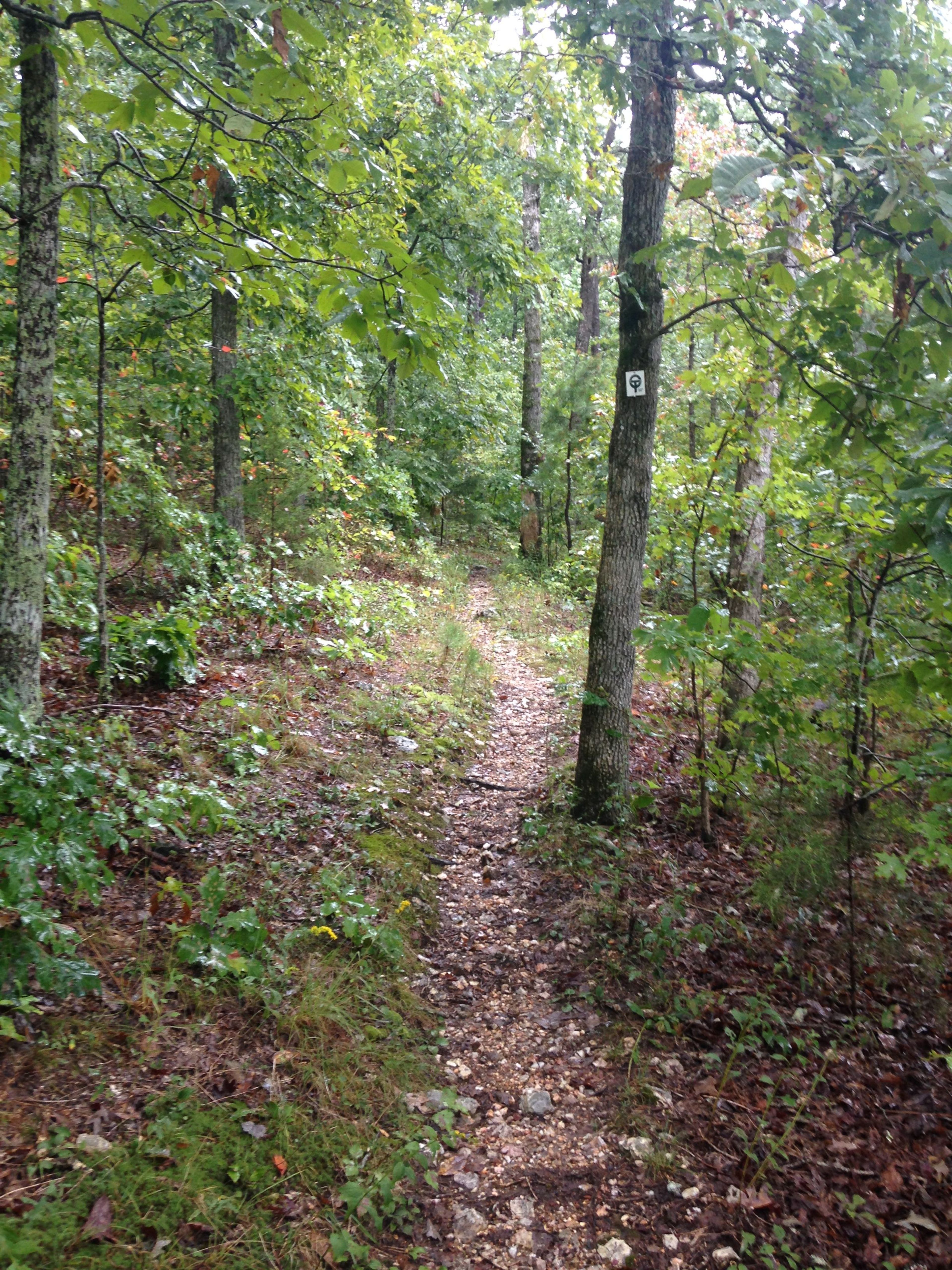 Crane Lake Trail follows part of the Marble Creek section of the Ozark Trail. Photo by Donna Kridelbaugh & John Stone.