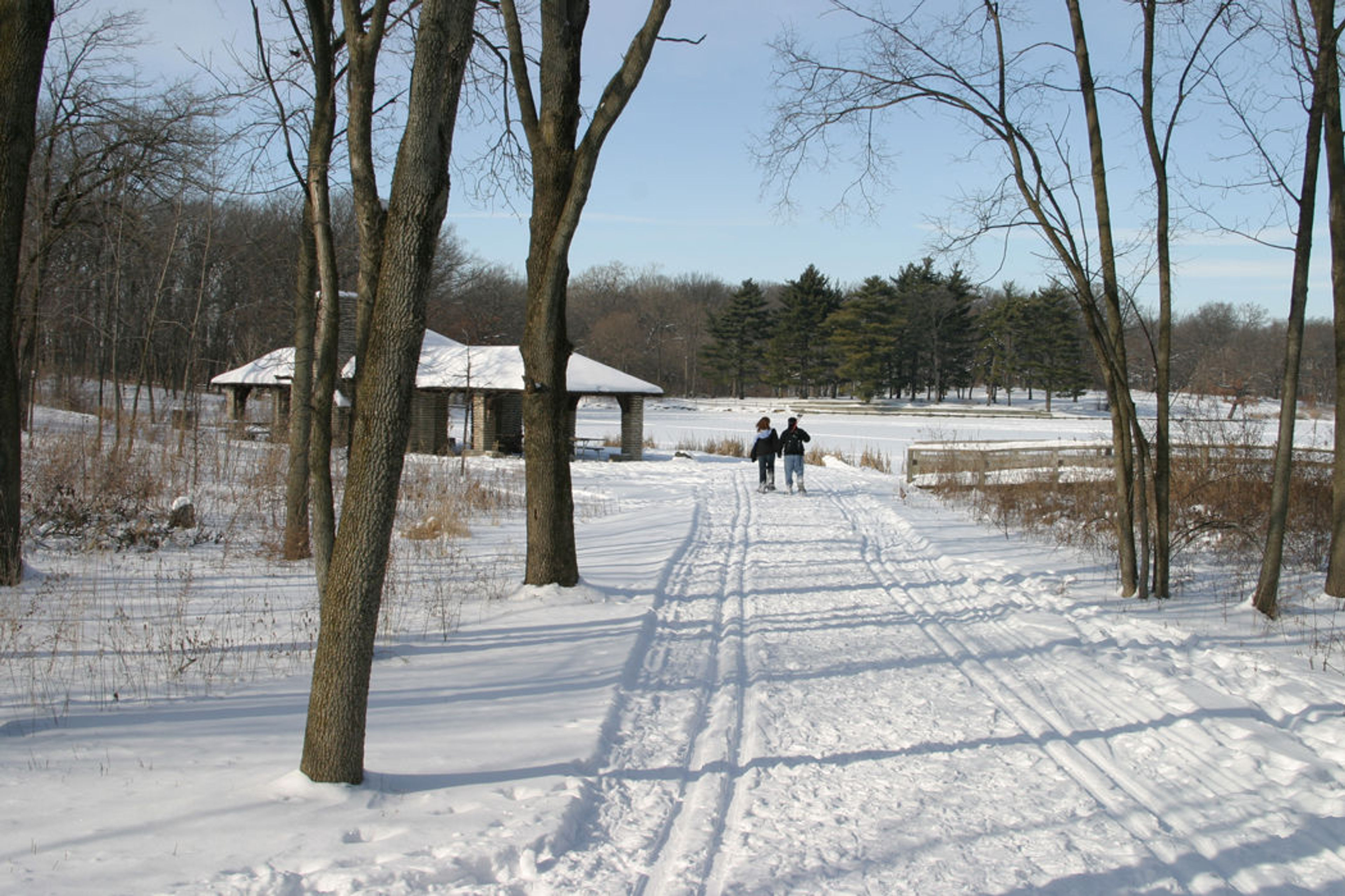 Winter Walk. Photo by Audra Mason Bonnet.