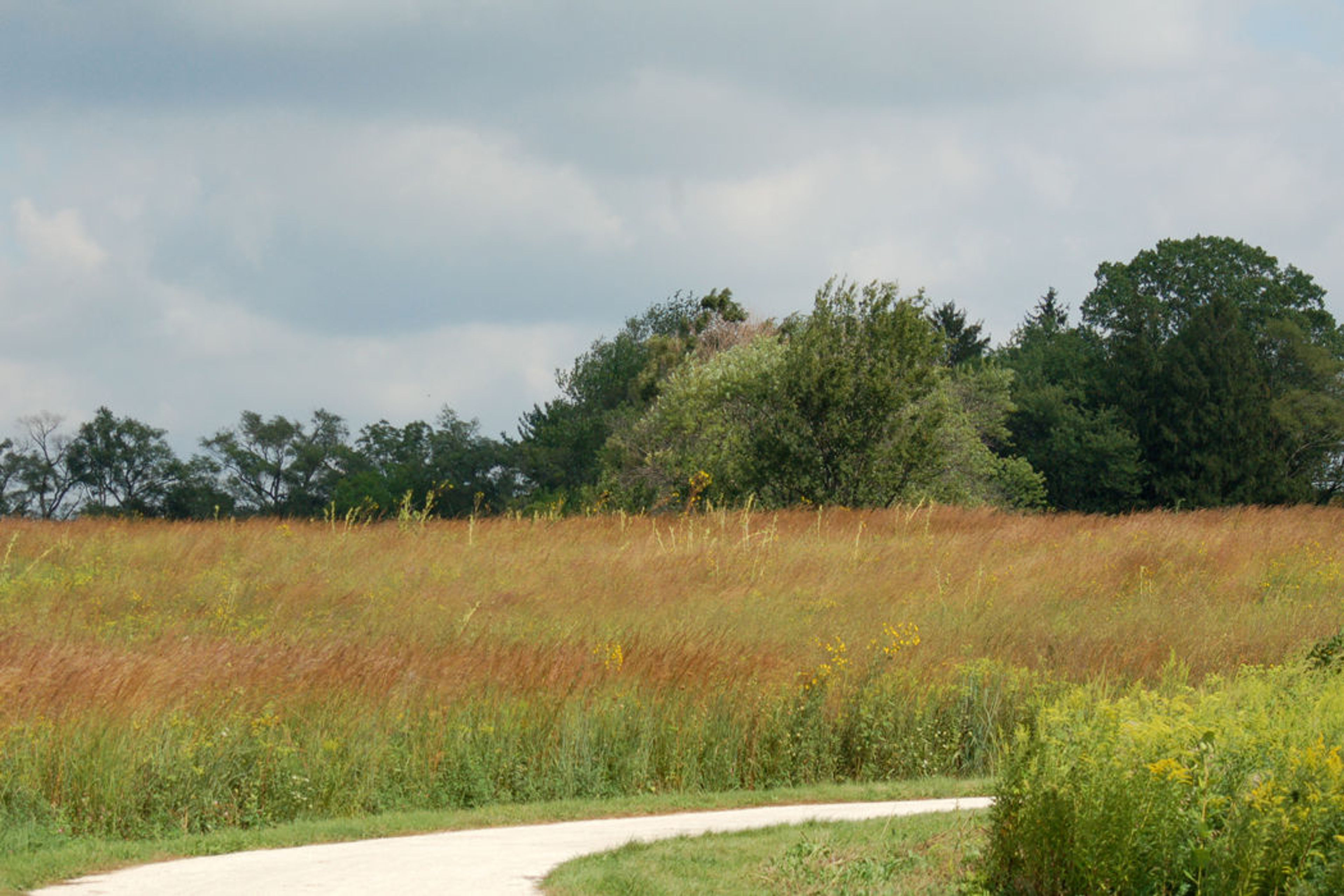 Prairie. Photo by Audra Mason Bonnet.