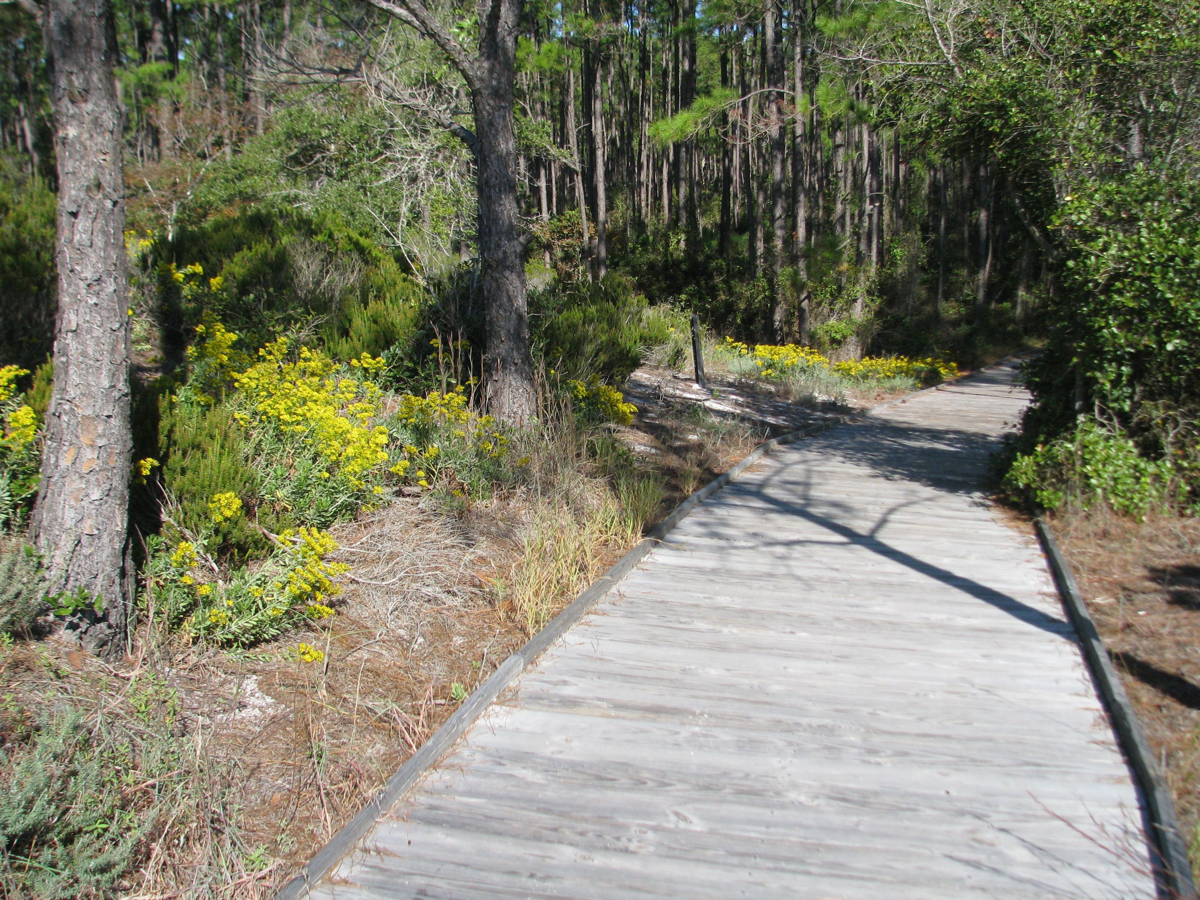 Additional views of wildlife and boardwalks found