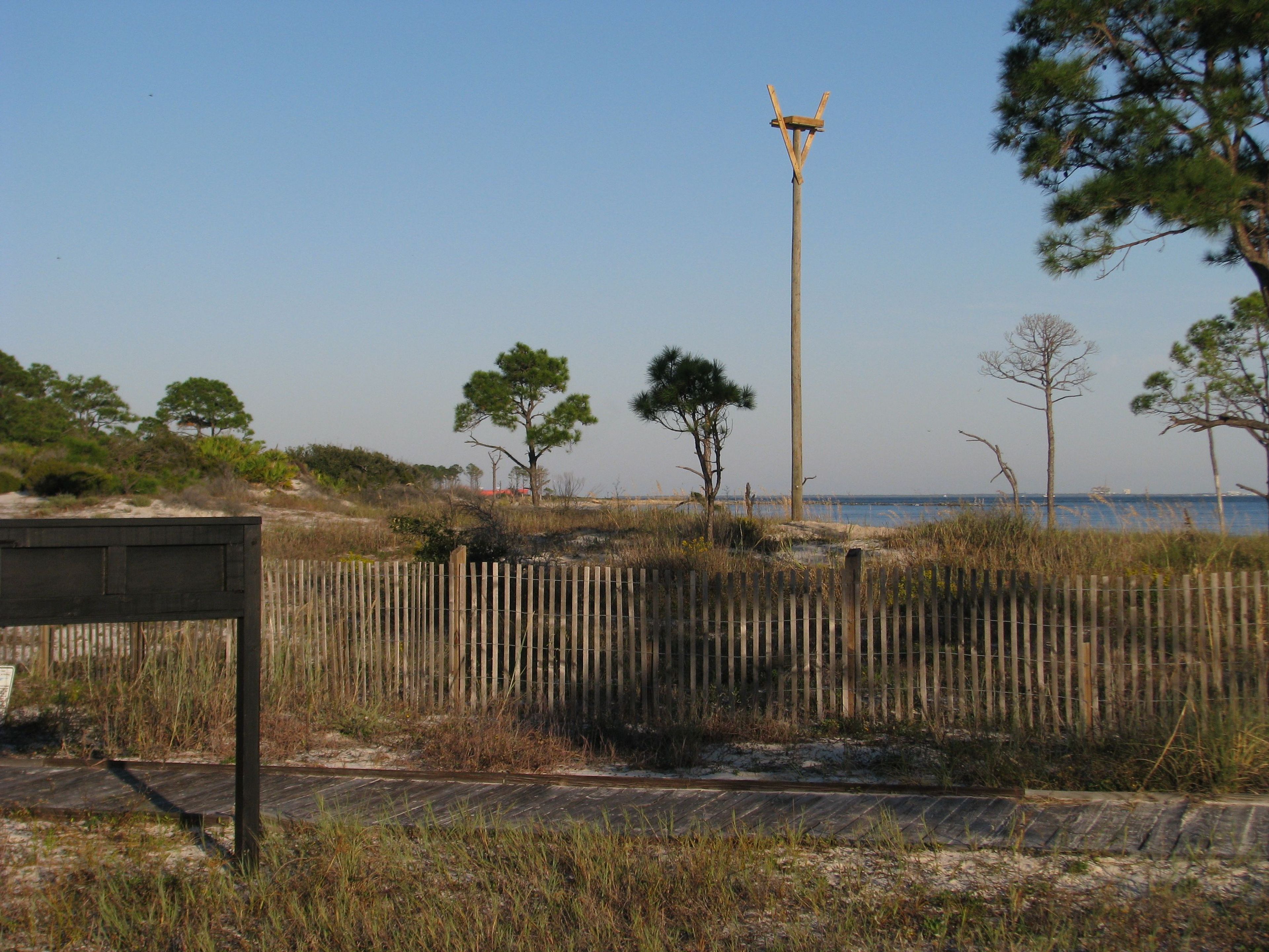 A view of the Gulf of Mexico and one of our Osprey