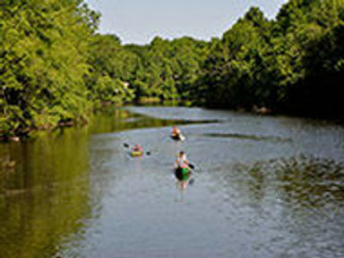 #11 Paddlers at MLK Park from Bridge St Bridge.