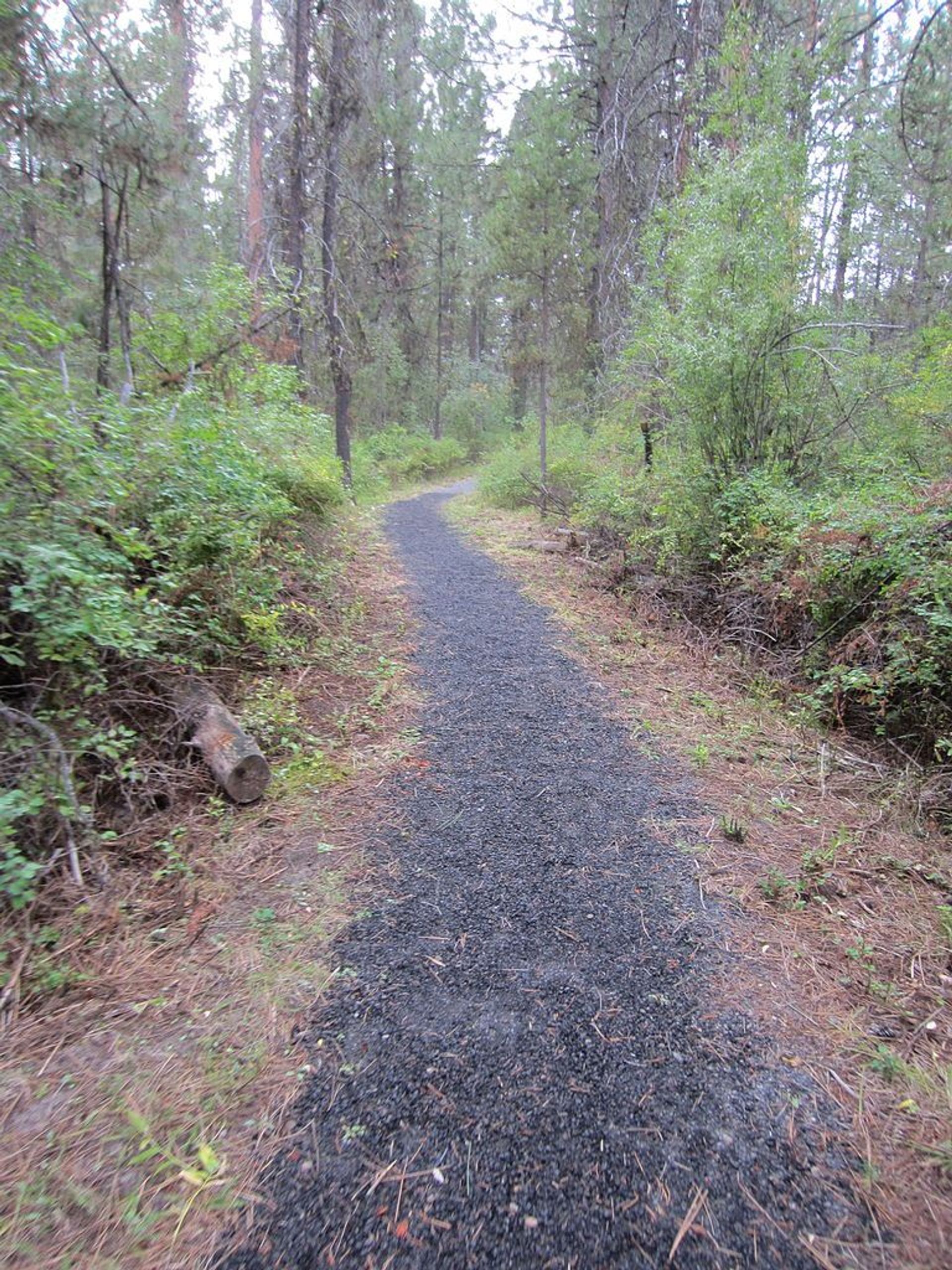 Deschutes River Trail to Benham Falls, Oregon. Photo by Another Believer/wiki.