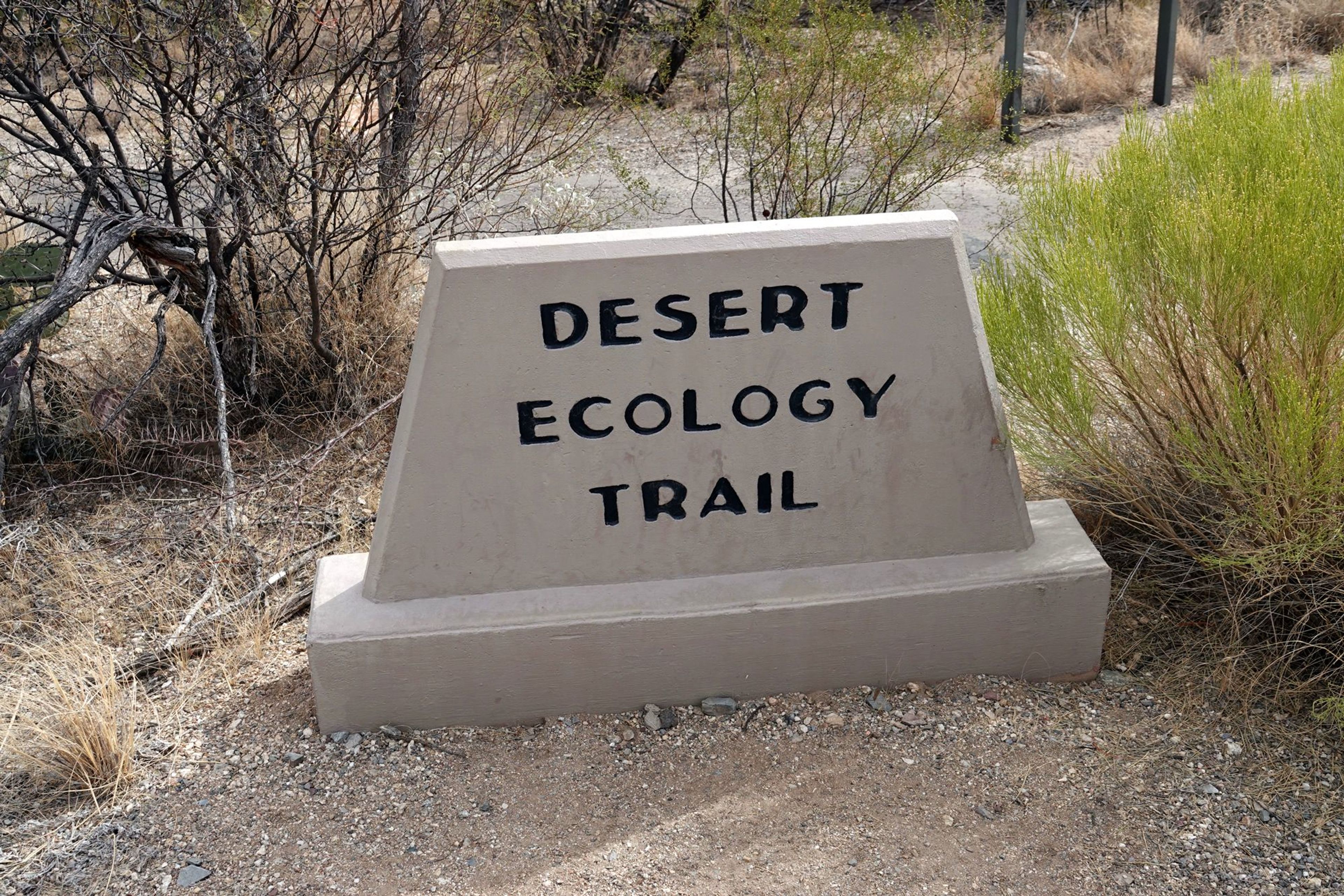 Desert Ecology Trail -  Feb 13, 2018. Photo by Jim Walla.