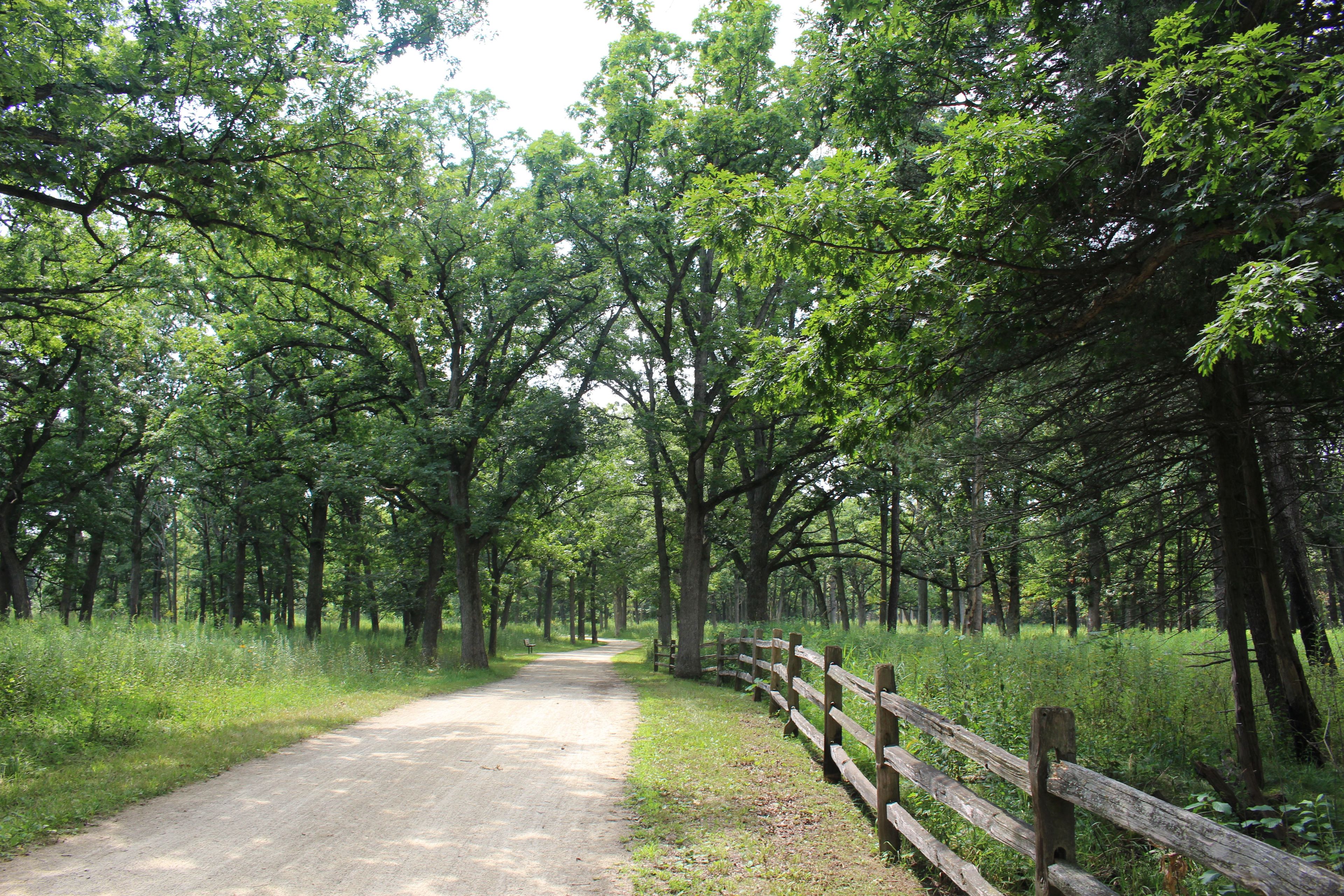 Des Plaines River Trail within Independence Grove Forest Preserve.